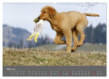 CALVENDO Wandkalender Chesley Kleiner Hund grosse Abenteuer (Premium, hochwertiger DIN A2 Wandkalender 2023, Kunstdruck in Hochglanz)