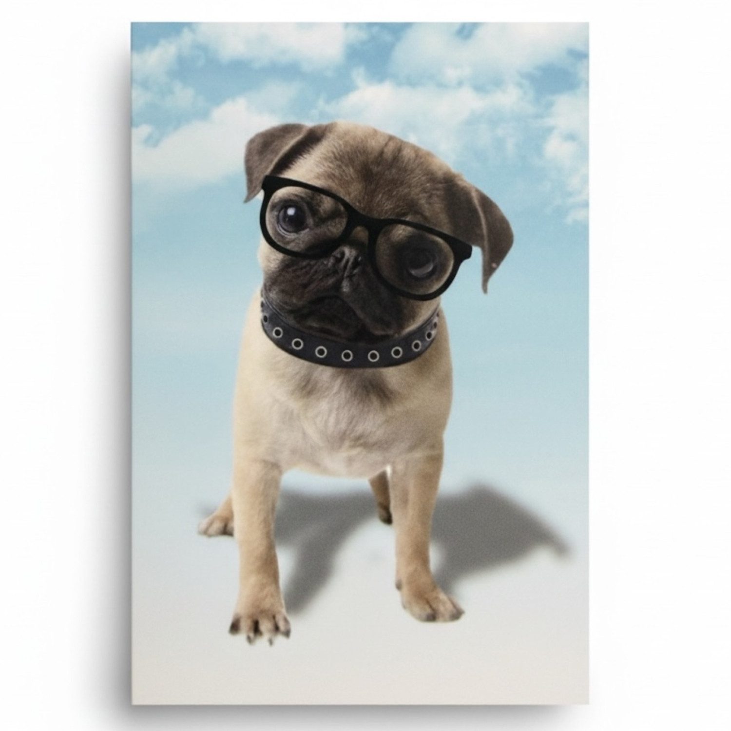 Wohndecke Wohndecke mit Tiermotiv Größe ca. 150 x 200 cm Hell Blau - Hund MOPS, Home Ideas, Kuscheldecke