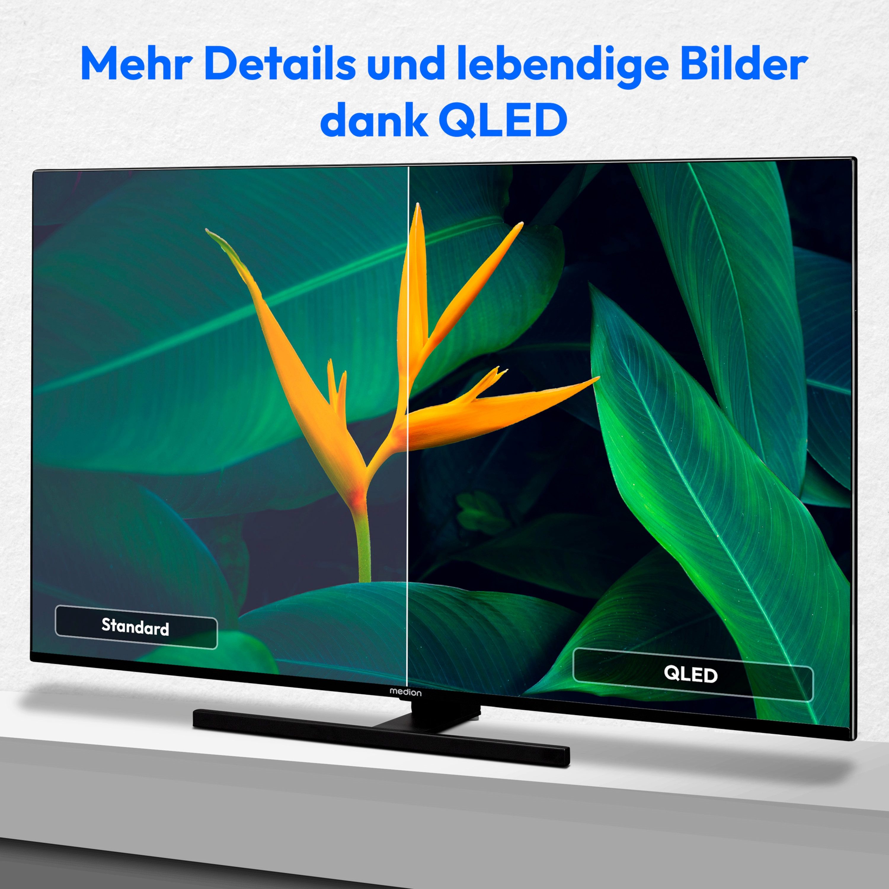 Medion® MD31410 LCD-LED Fernseher (108 ...