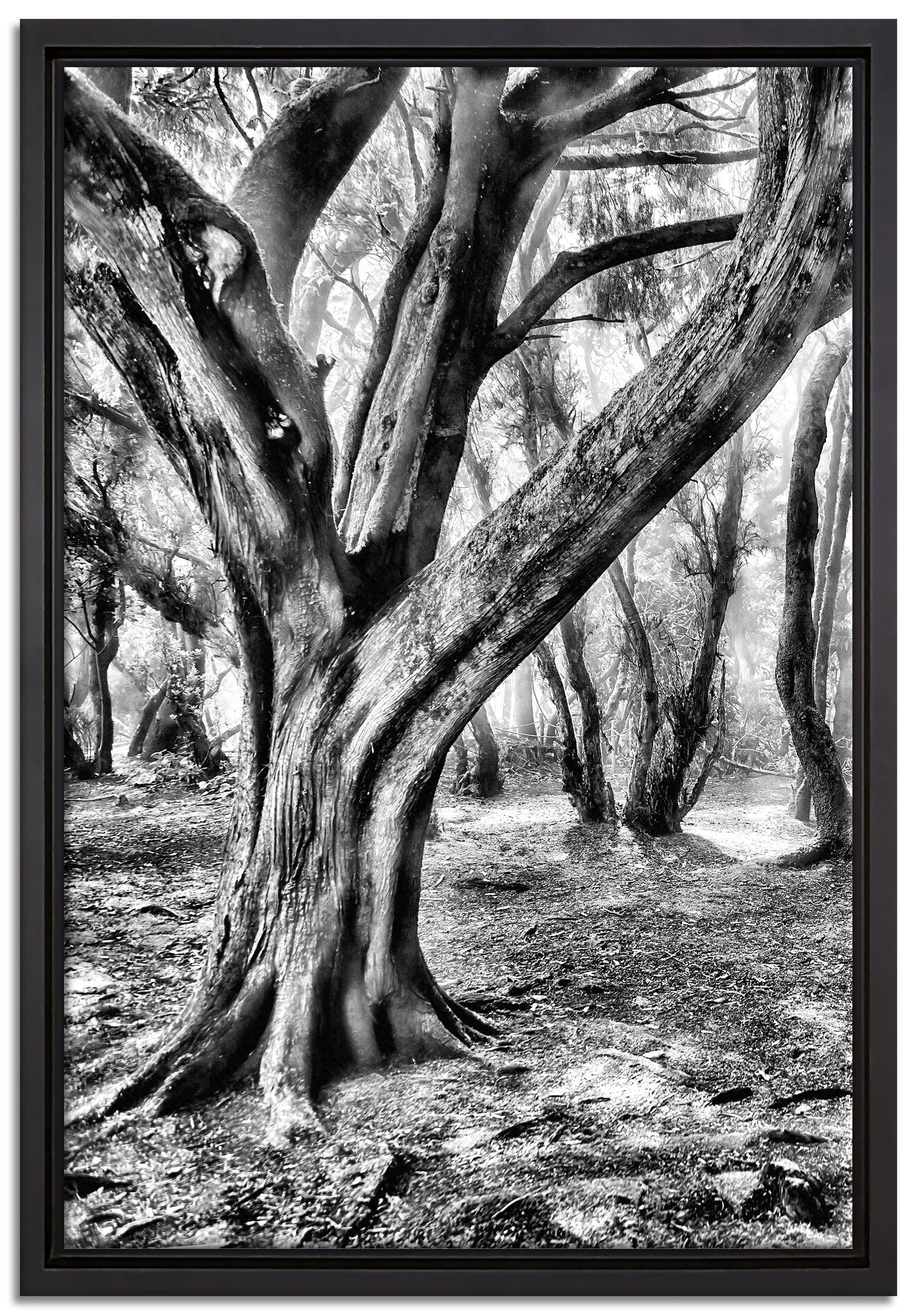 Pixxprint Leinwandbild Wald, Wanddekoration Zackenaufhänger fertig einem in inkl. St), (1 Leinwandbild gefasst, Schattenfugen-Bilderrahmen bespannt