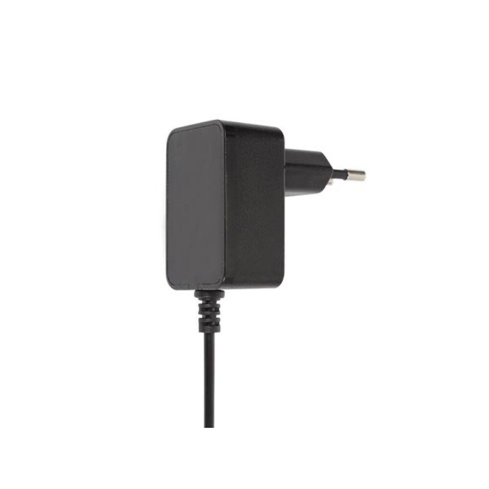 KOMPAKTES LADEGERÄT MIT MINI-USB-ANSCHLUSS - 5 VDC - 1 A Batterie