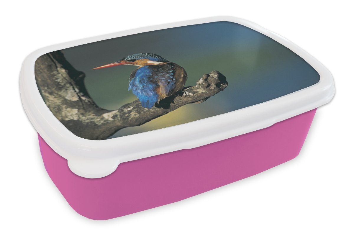 MuchoWow Lunchbox Eisvogel - Tier - Farbenfroh, Kunststoff, (2-tlg), Brotbox für Erwachsene, Brotdose Kinder, Snackbox, Mädchen, Kunststoff rosa