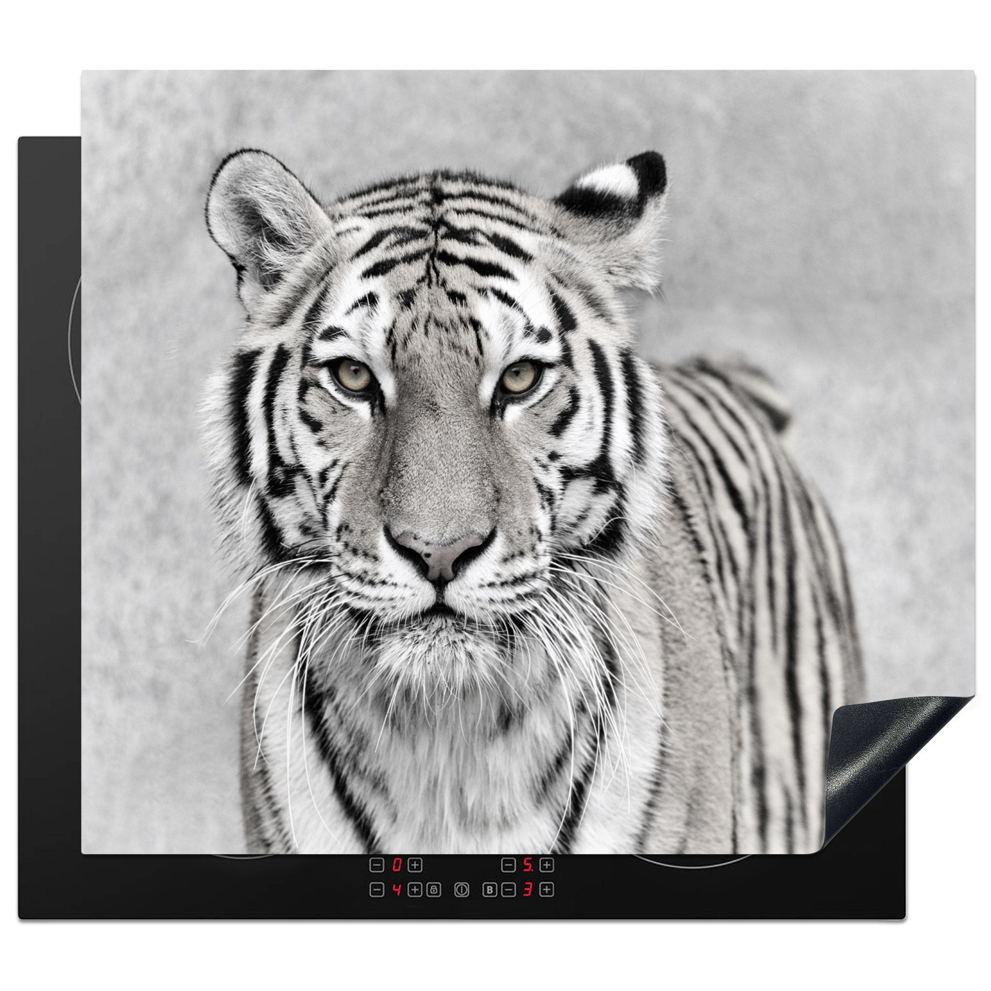 MuchoWow Herdblende-/Abdeckplatte Tiger - Natur - Schwarz - Weiß, Vinyl, (1 tlg), 59x51 cm, Induktionsschutz, Induktionskochfeld, Ceranfeldabdeckung