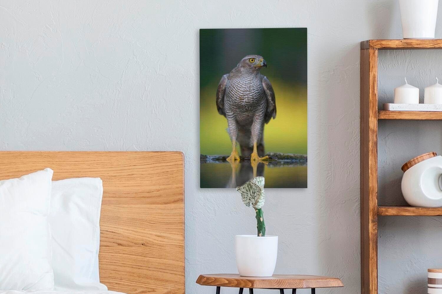 OneMillionCanvasses® Leinwandbild Ein Falke auf inkl. im einem Gemälde, St), Wasser, cm Zackenaufhänger, heißen (1 Ast bespannt Leinwandbild 20x30 fertig