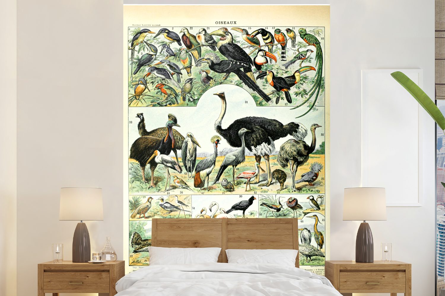 MuchoWow Fototapete Tiere - Vögel - Design, Matt, bedruckt, (3 St), Montagefertig Vinyl Tapete für Wohnzimmer, Wandtapete