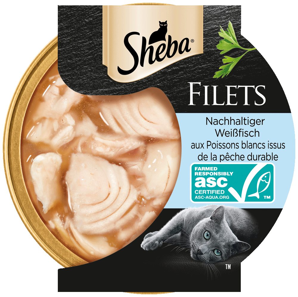Sheba SHEBA® Schale Filets Nachhaltiger Weißfisch 60g, für: Katze