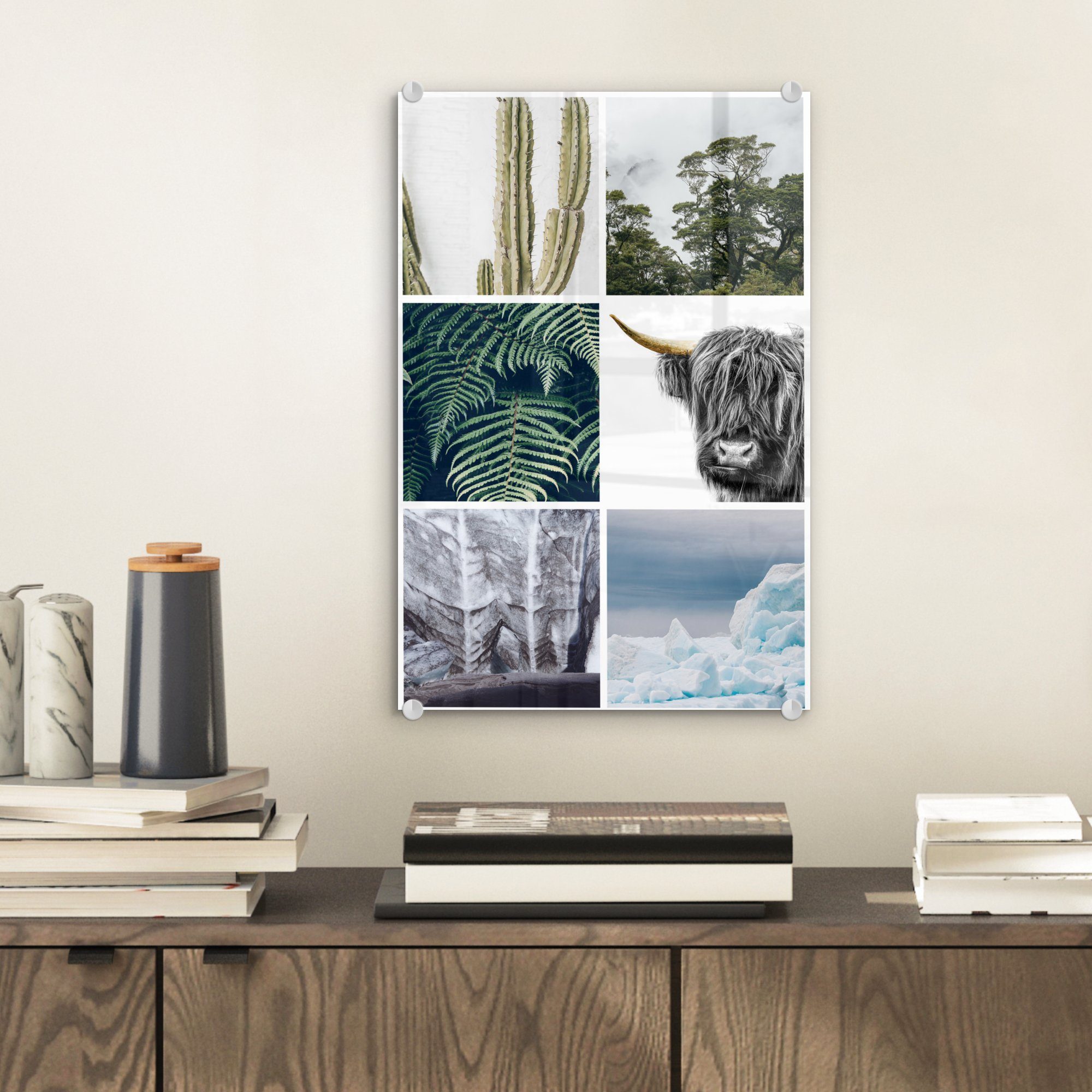 - - Kaktus Glas Collage (1 Schottischer Glas - auf Foto Wanddekoration Bilder - Glasbilder - Highlander MuchoWow auf Wandbild Acrylglasbild - Pflanzen, St),