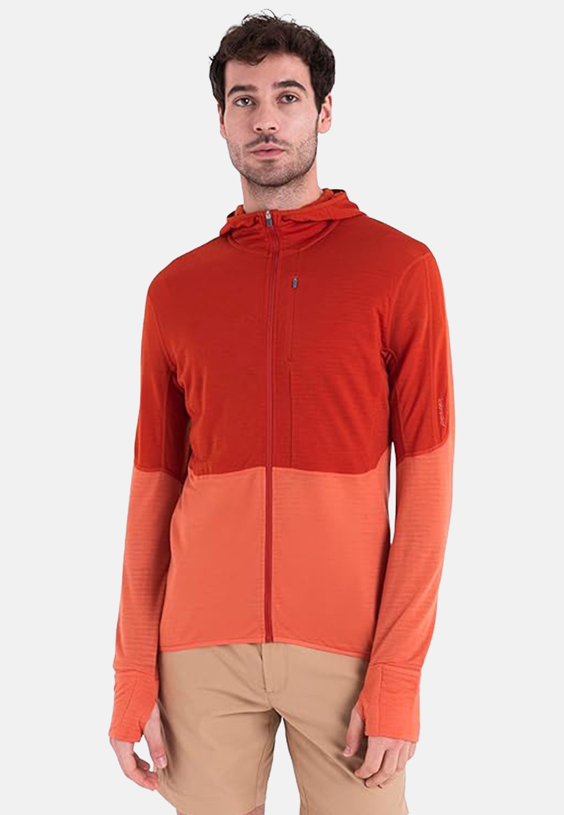Icebreaker Trainingsjacke 200 Realfleece Desc
