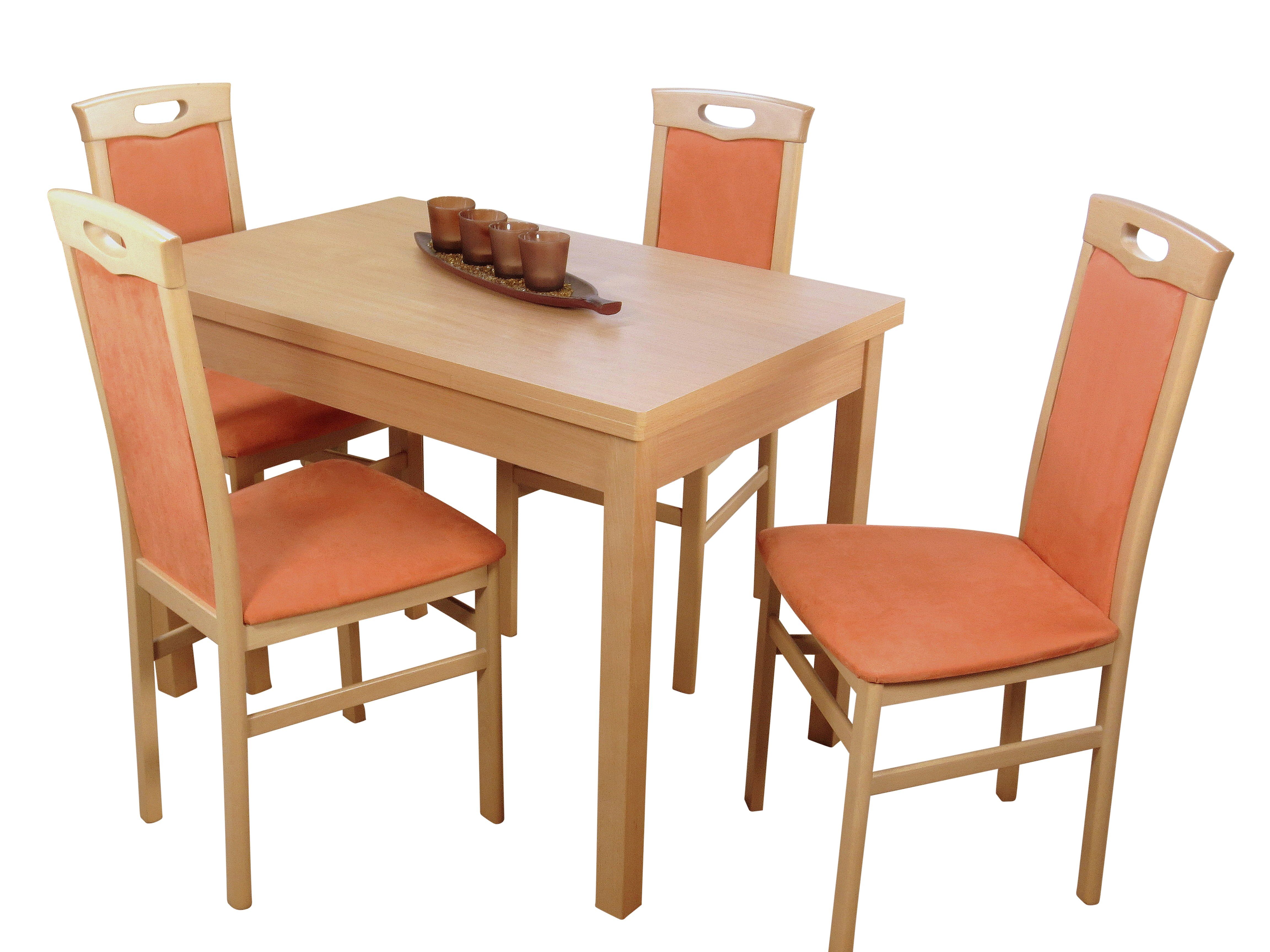 moebel-direkt-online Essgruppe Doris, (Spar-Set, 5-tlg), Stühle aus Massivholz Buche, Esstisch mit Beinen aus Massivholz Buche terra