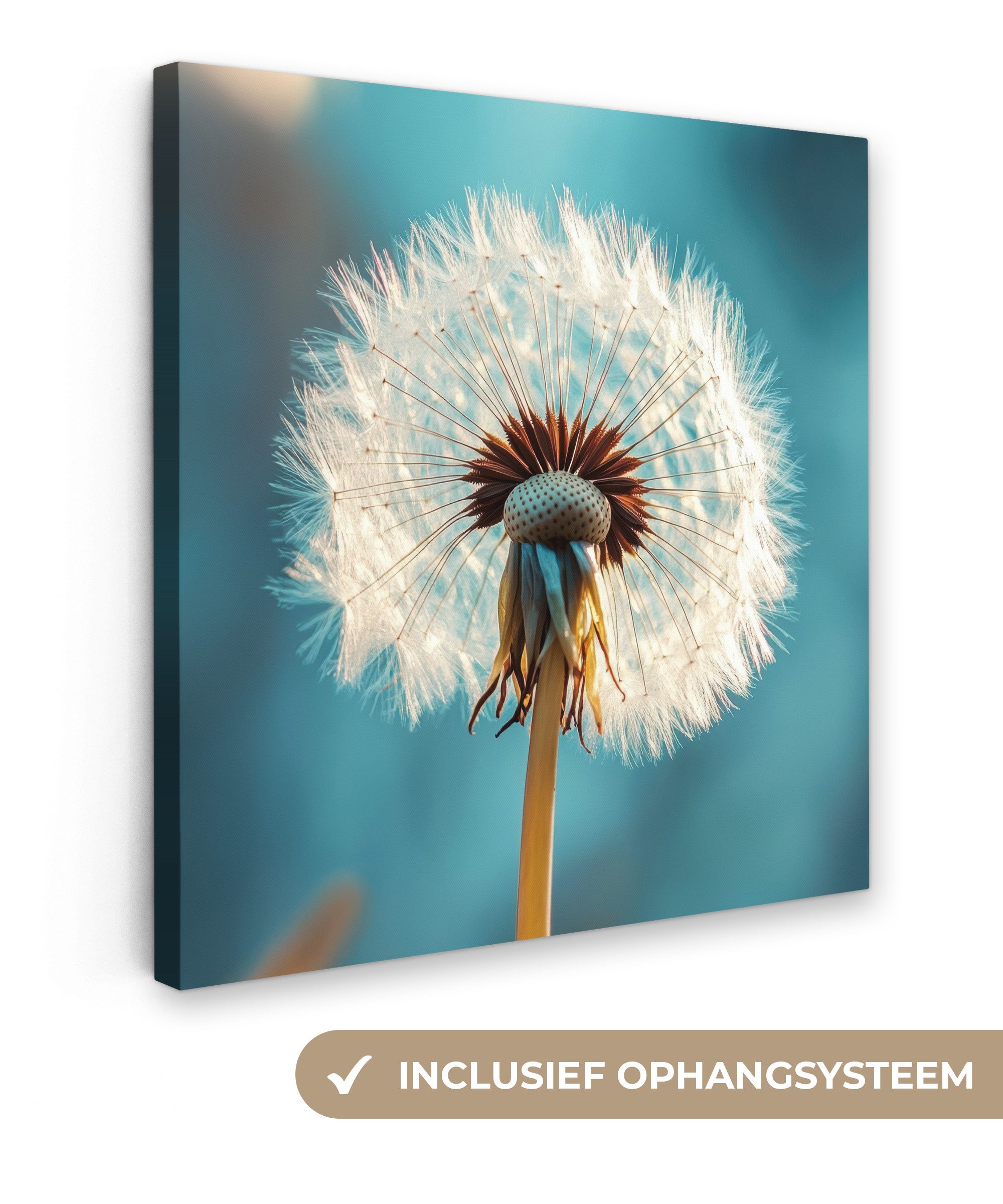OneMillionCanvasses® Leinwandbild Löwenzahn - Natur - Blumen - Blau, Fotodruck (1 St), Wandbild, Deko Schlafzimmer Wohnzimmer Flur 20x20 cm
