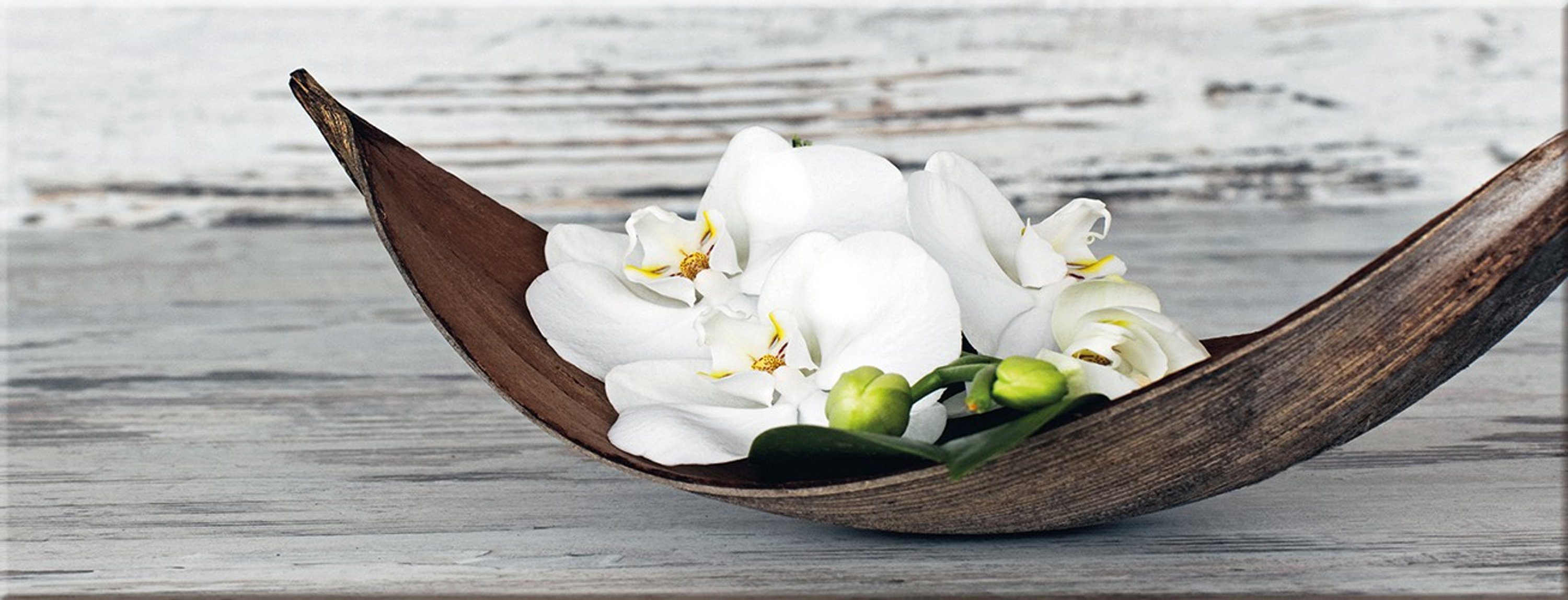 artissimo Glasbild Glasbild 80x30cm Bild aus Glas Wohnzimmer modern Blume O günstig online kaufen