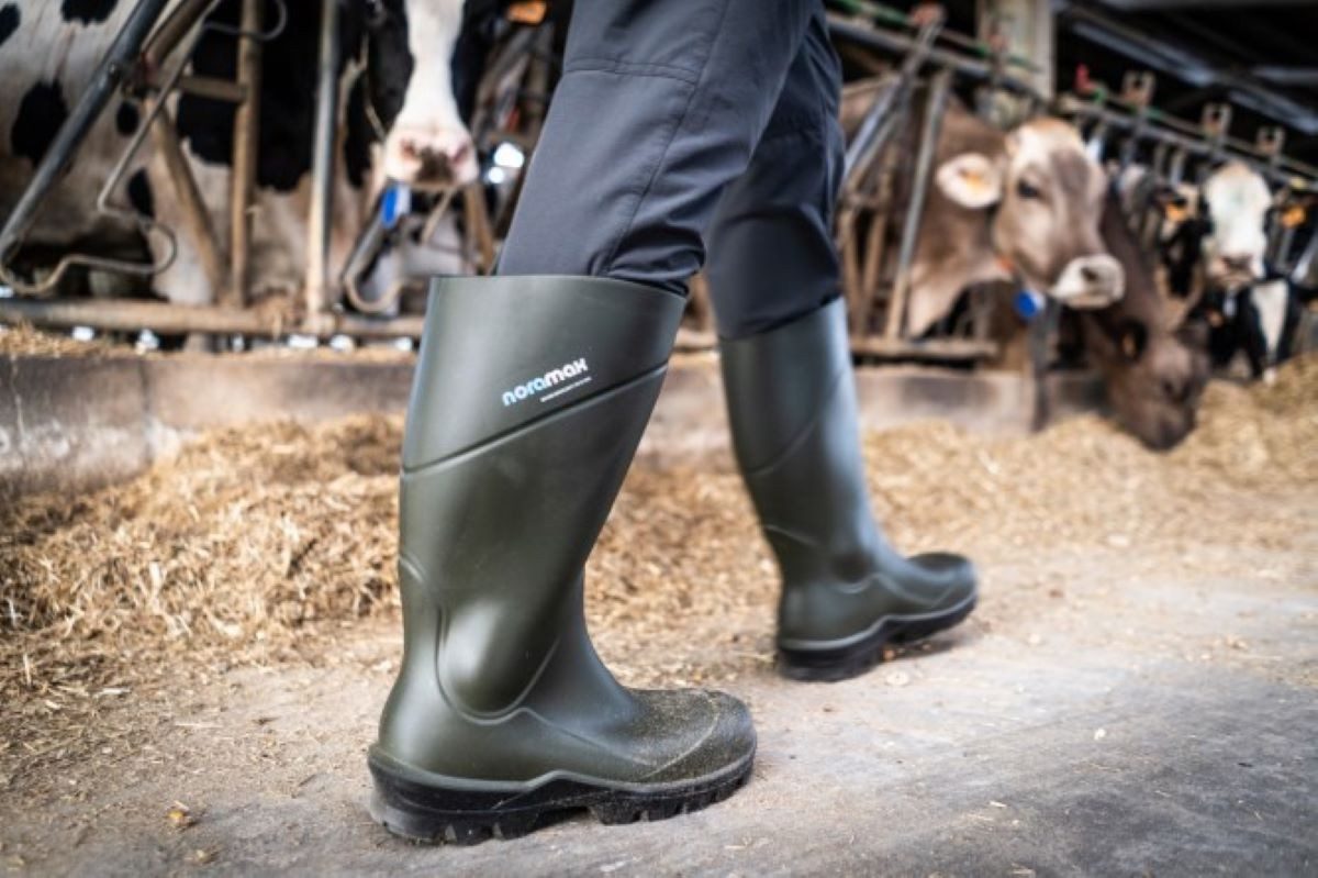 Nora MAX Safety S5 NORA Sicherheitsstiefel Stahlzwischensohle Gummistiefel günstig online kaufen