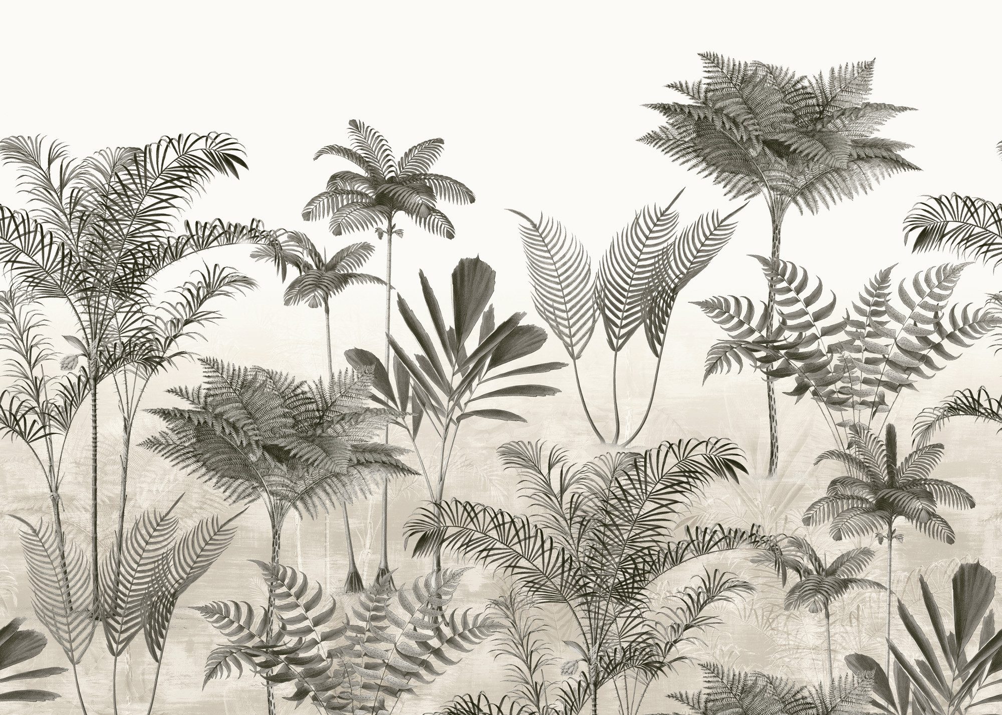 Rasch Fototapete mit tropischem Palmen, glatt, tropisch, botanisch, (1 St), 265 cm x 371 cm