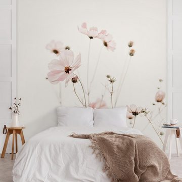 Bilderdepot24 Fototapete Blumen Cosmea zarten Cremetönen Blumentapete Floral Natur Modern Kunst, Glatt, Matt, (Vliestapete inkl. Kleister oder selbstklebend), Wohnzimmer Schlafzimmer Küche Flur Motivtapete Vliestapete Wandtapete