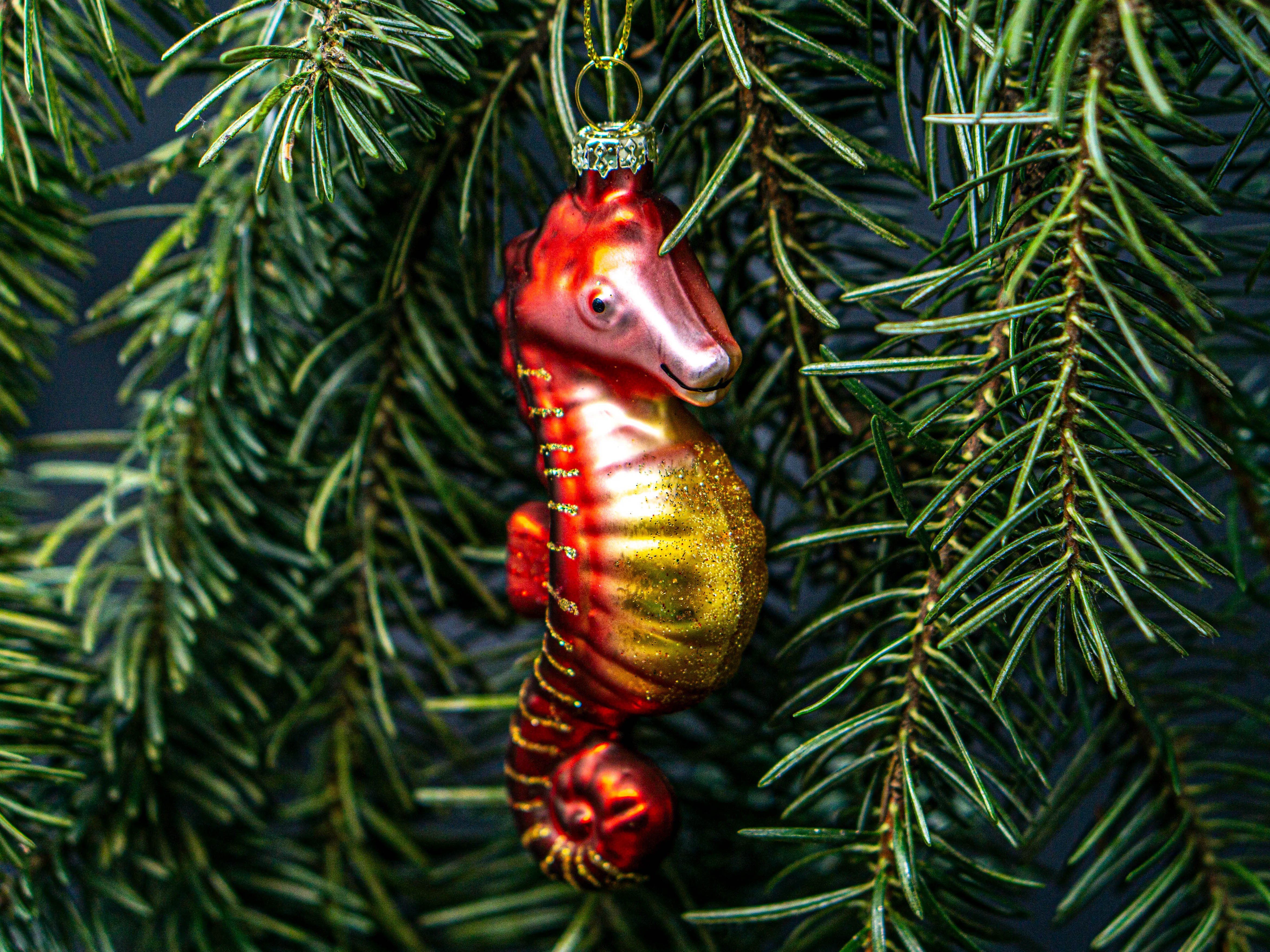 Nature Planet Weihnachtsbaumkugel Weihnachtskugel Seepferdchen
