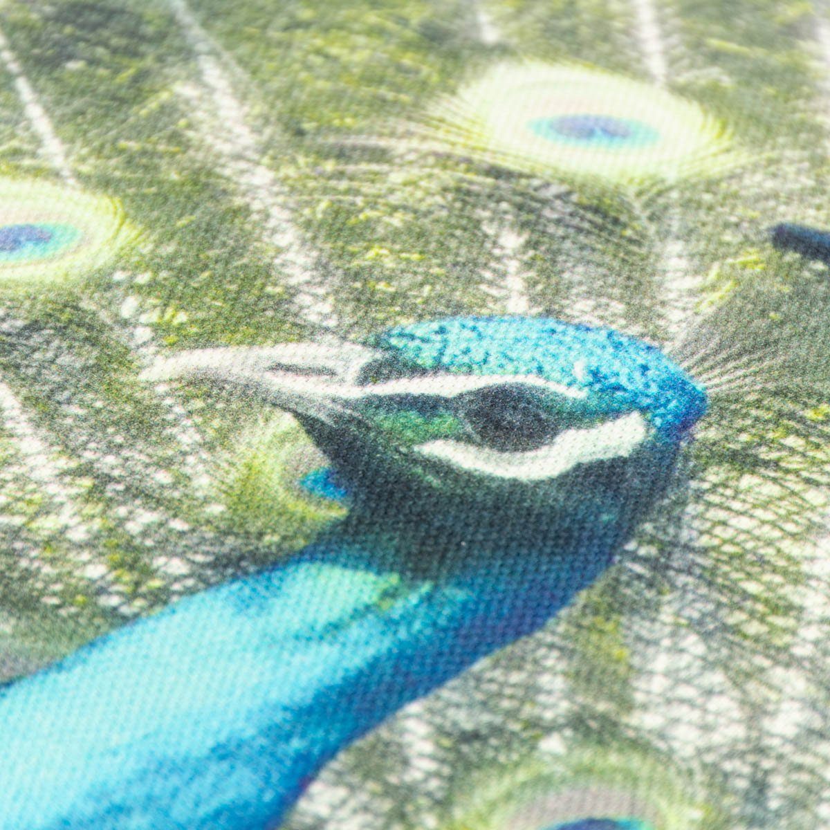 ELBERSDRUCKE Dekokissen Dekokissen Pfau aus Baumwolle grün blau natur 45x45cm