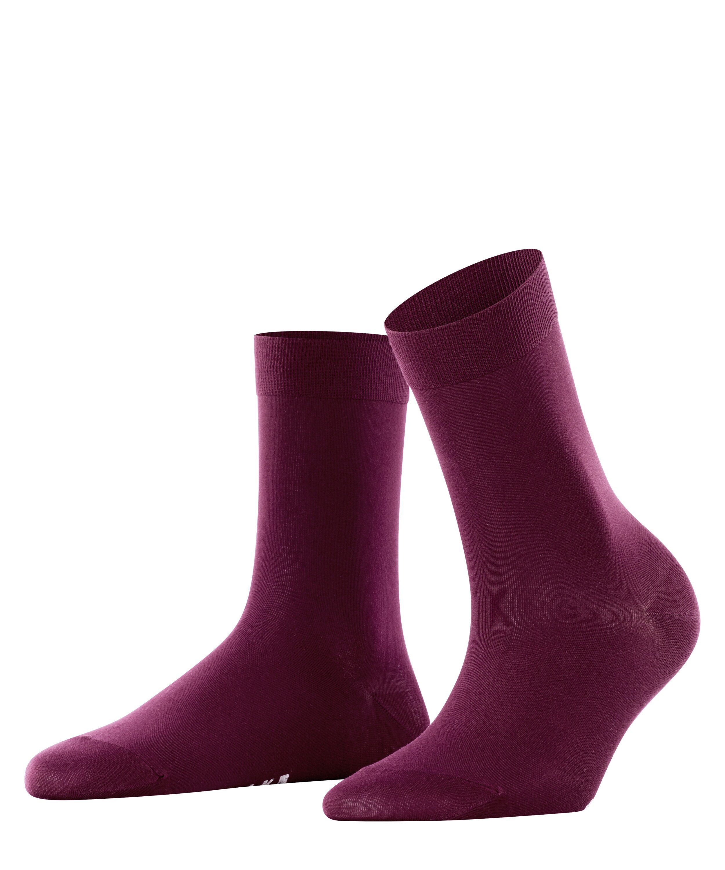 barolo (8596)
