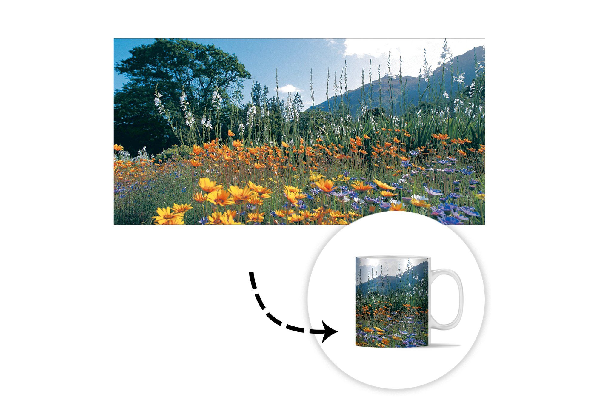 Natur Blumen Teetasse, Farbe, Kaffeetassen, - Becher, MuchoWow Geschenk Keramik, Tasse - Teetasse,