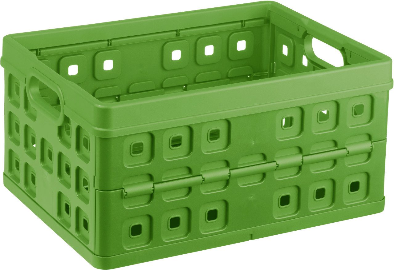 Sunware Klappbox Sunware Klappbox Square 32L grün 49 x 36 x 24,5 cm