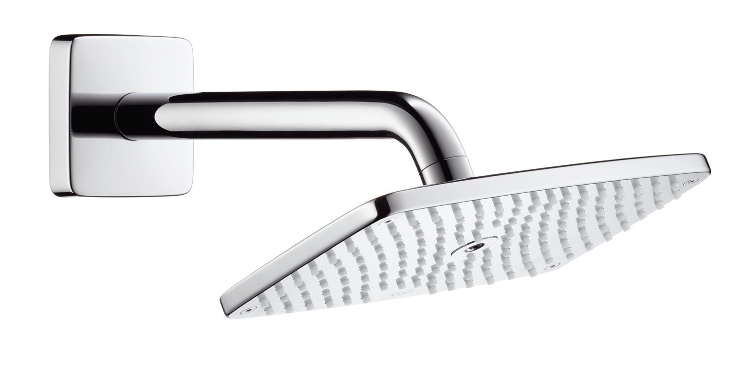 Kopfbrause Raindance E 240