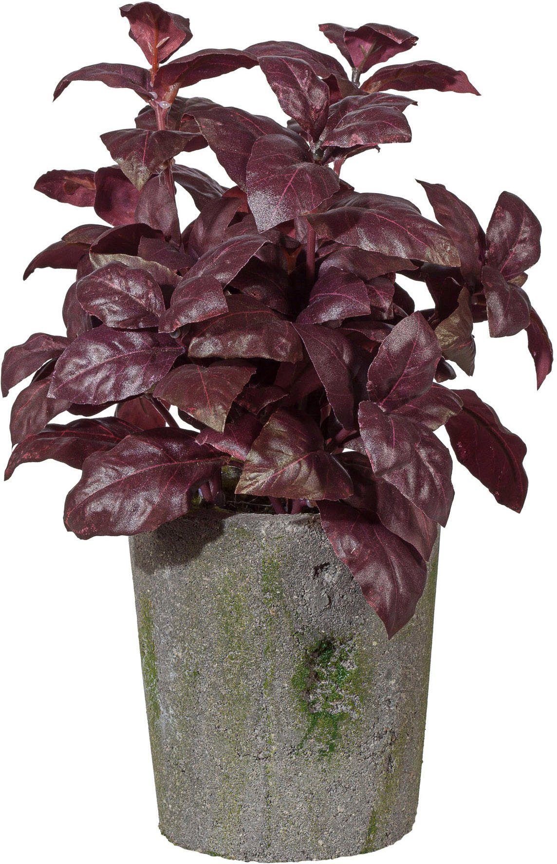 Kunstpflanze Basilikumbusch Basilikum, Creativ green, Höhe 23 cm
