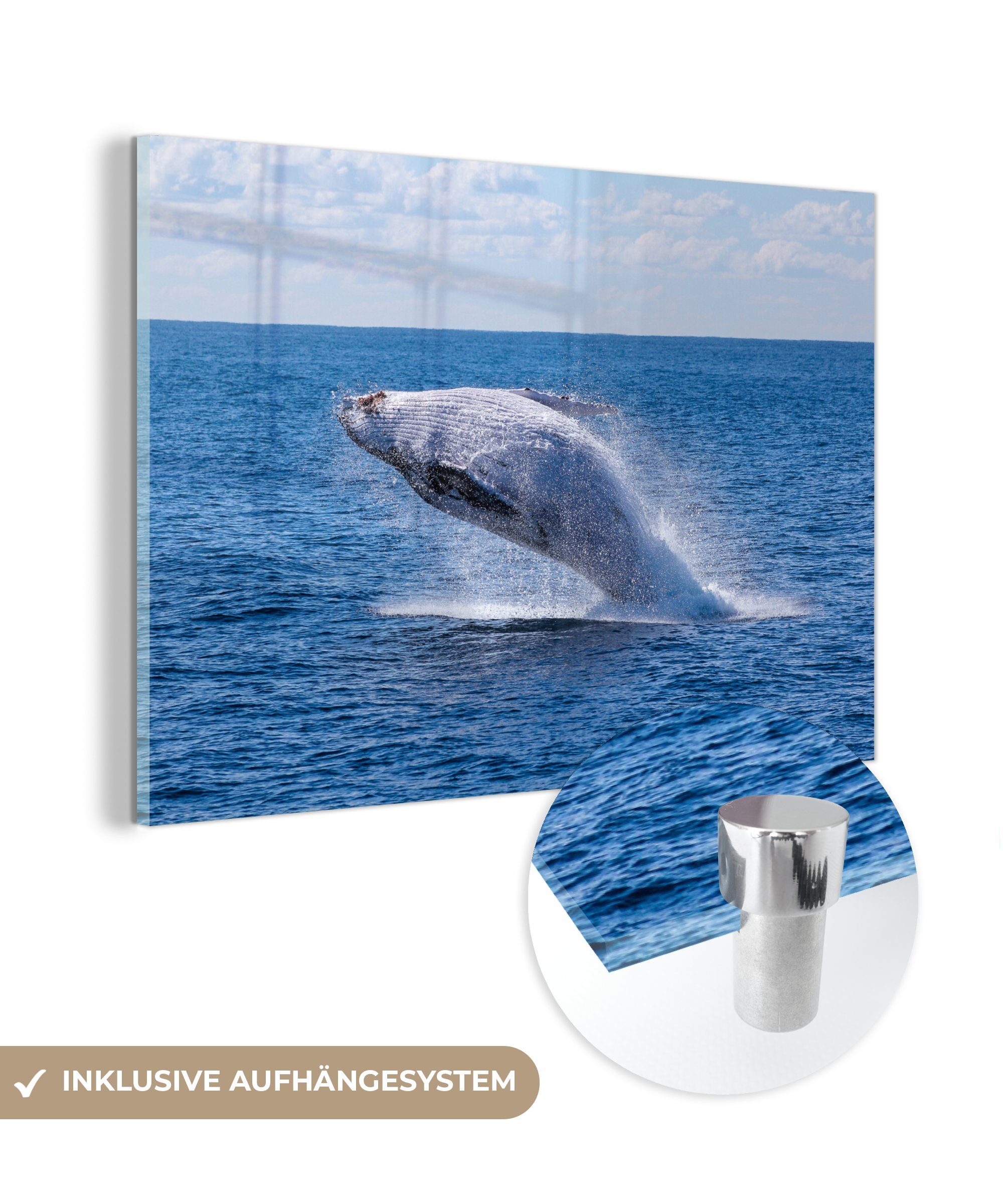 MuchoWow Acrylglasbild Australien - Wale - Meer, (1 St), Acrylglasbilder Wohnzimmer & Schlafzimmer