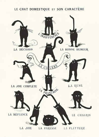 Close Up Poster »Le Chat domestique et son Caractère 27,94 x 35,56 cm«