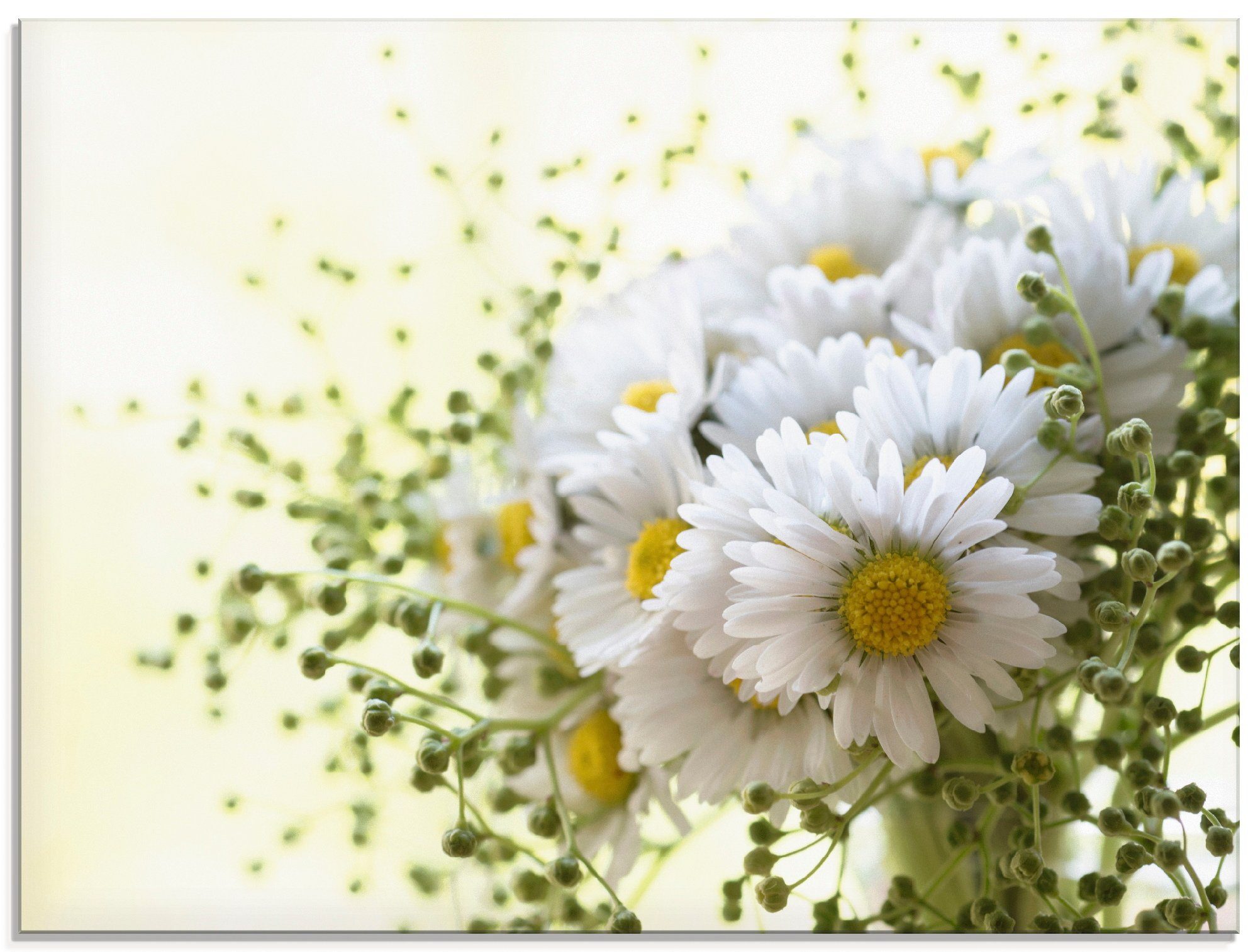 in (1 Blumen verschiedenen und Glasbild Größen Artland Gänseblümchen Hofstaat, St),