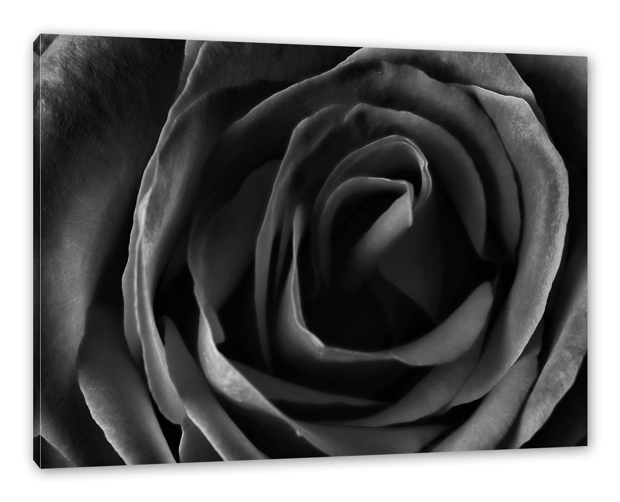 Pixxprint Leinwandbild Rote Rose, Rote Rose (1 St), Leinwandbild fertig bespannt, inkl. Zackenaufhänger