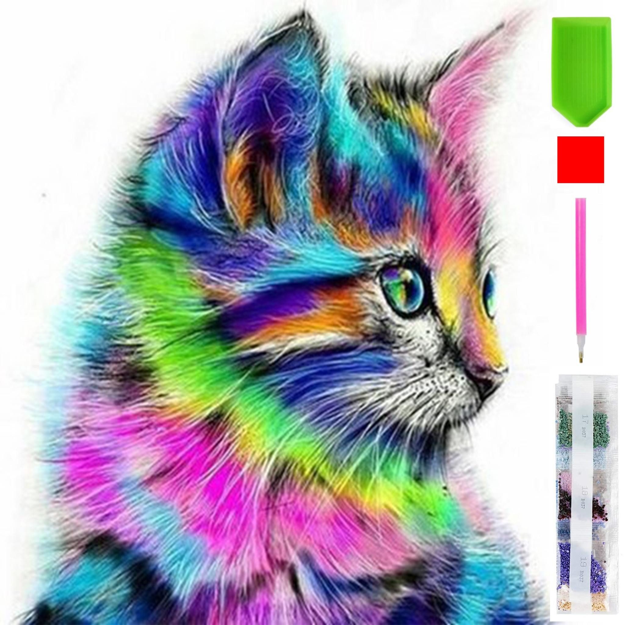 Malen nach Zahlen 5d Diamond Painting Bunte Katze Malen nach Zahlen 15x20cm