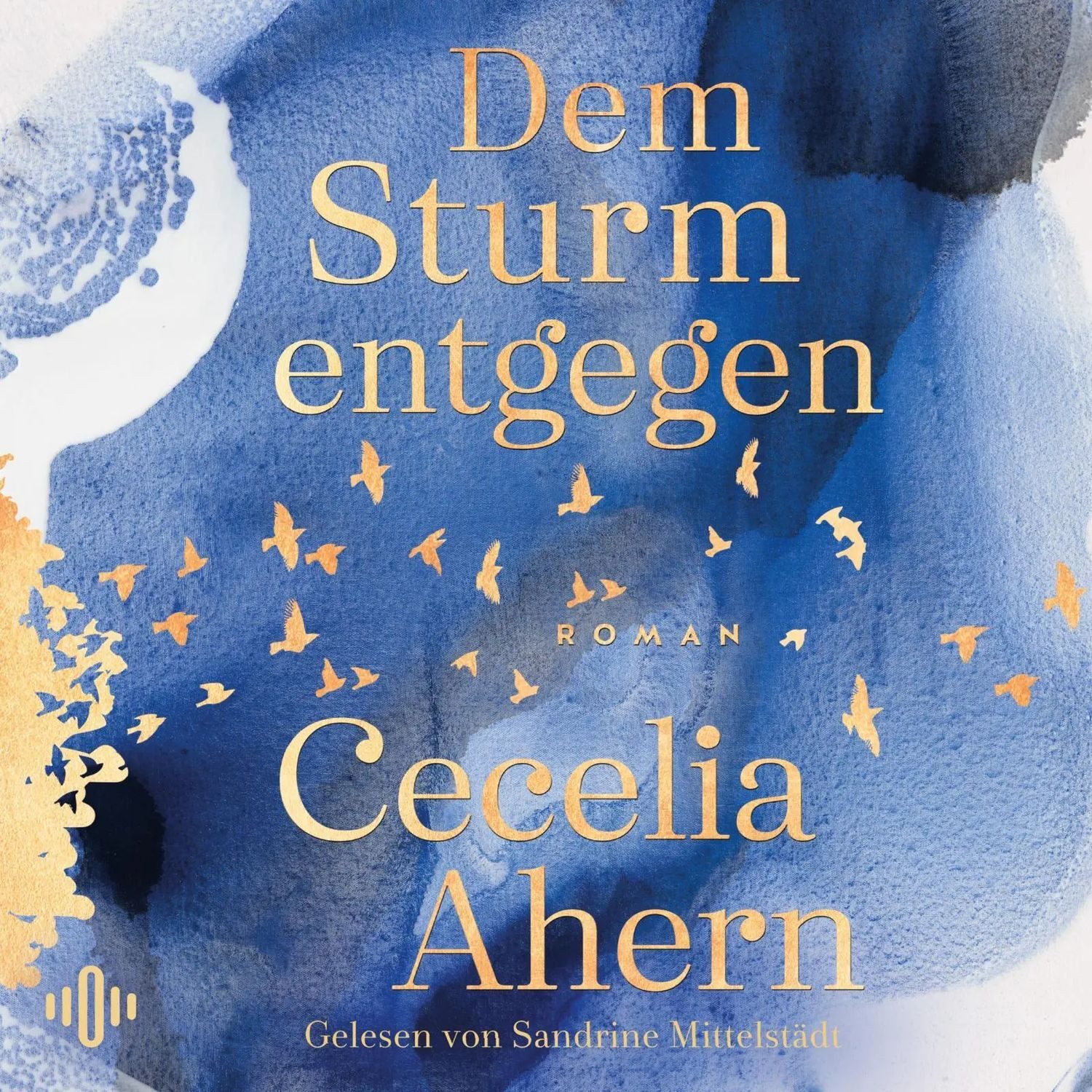 Hörspiel Dem Sturm entgegen