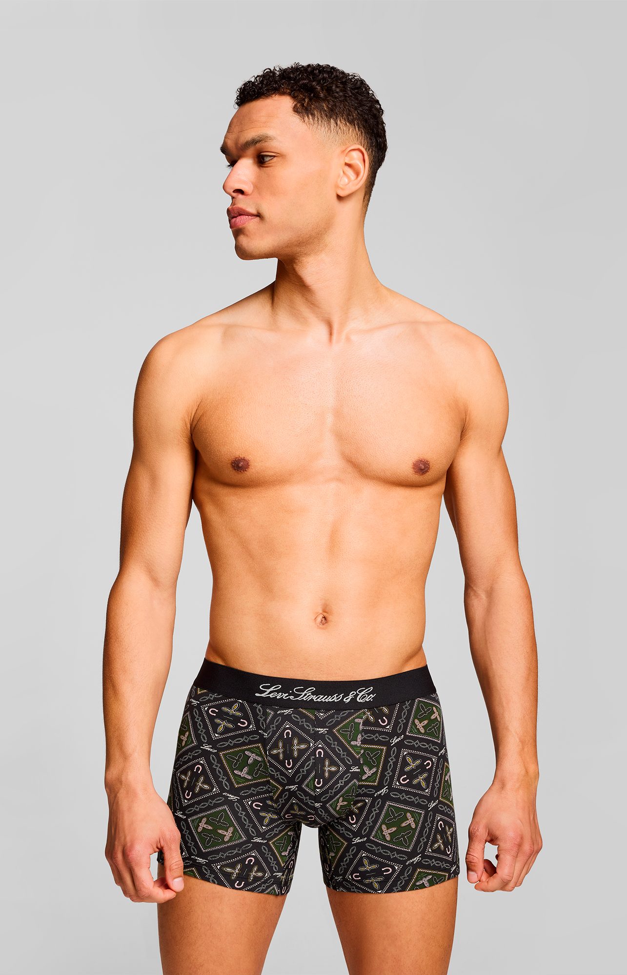 Levis Boxershorts "LEVIS MEN WESTERN AOP BOXER BRIEF 2P", (2er Pack) günstig online kaufen