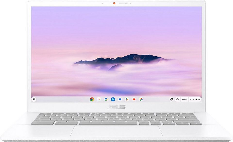 Asus Chromebook Plus CX3402CBA-MW0169 Chromebook (35,56 cm/14 Zoll, Intel  Core i7 1255U, UHD Graphics, 512 GB SSD)