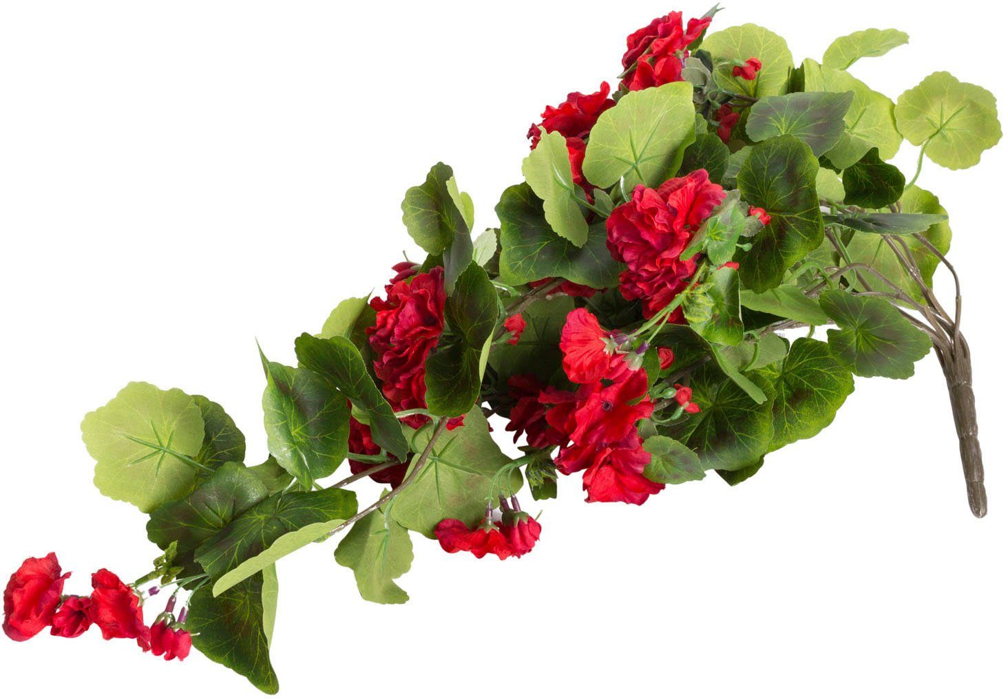 Kunstblume Geranienhängebusch Geranie, Botanic-Haus, Höhe 60 cm günstig online kaufen