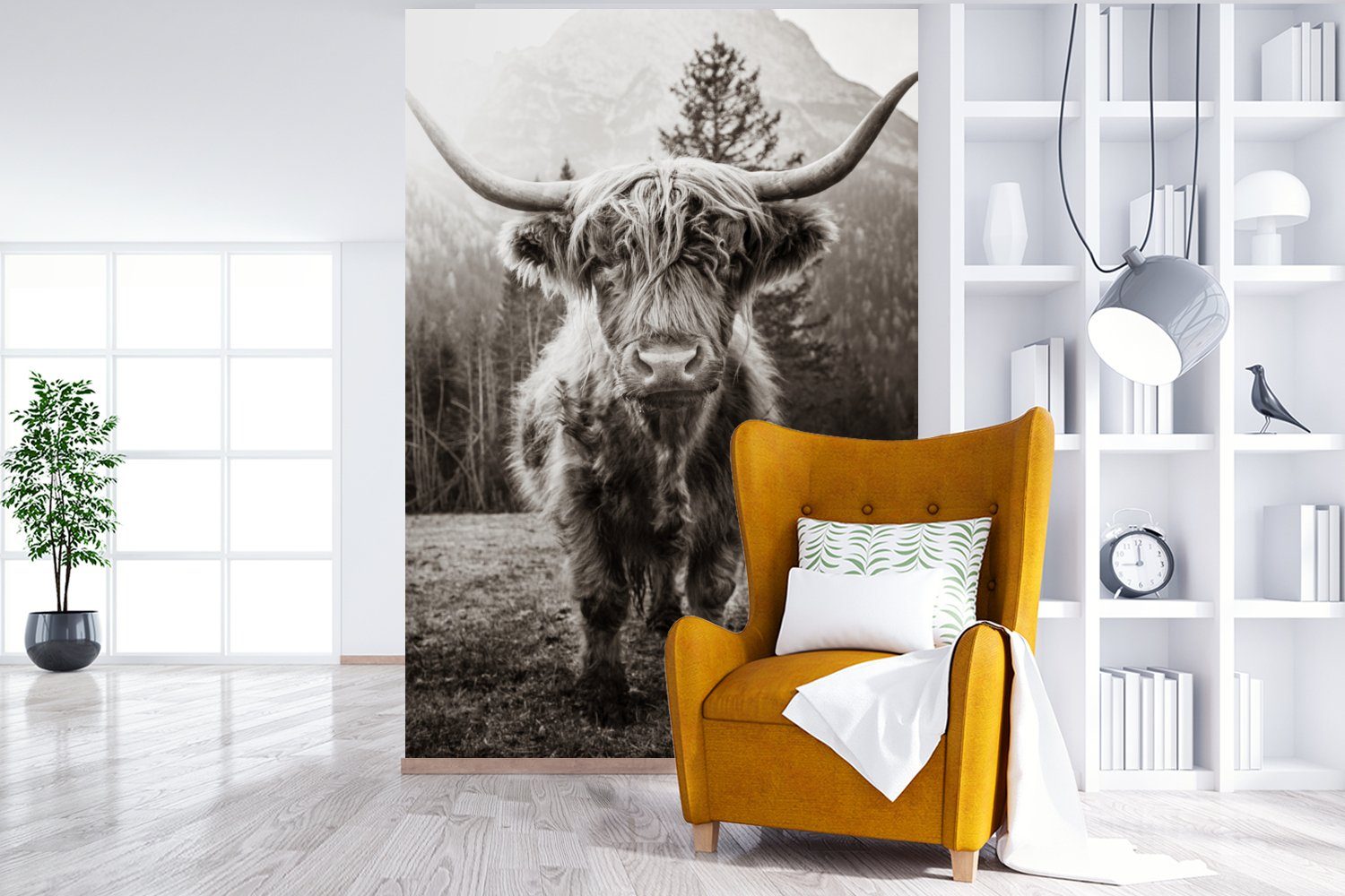 - Wandtapete Schwarz Wohnzimmer, (3 bedruckt, Schottischer für Matt, St), Highlander Weiß, Tiere - Tapete Montagefertig Vinyl - Fototapete MuchoWow