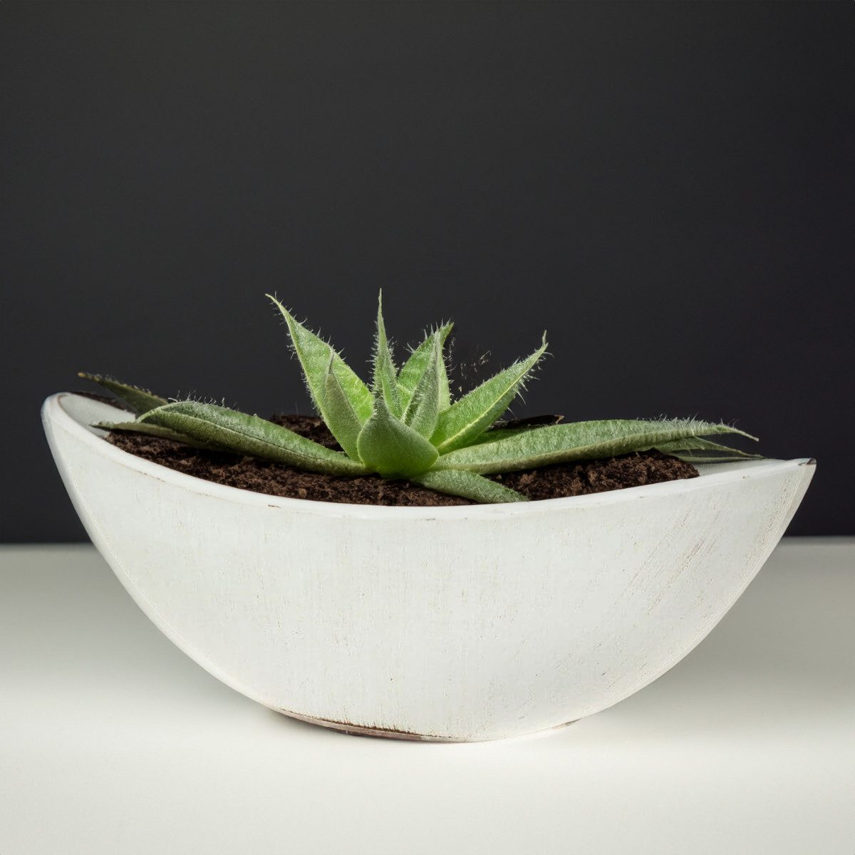 matches21 HOME & HOBBY Blumentopf Große Pflanzschale oval 34 cm für draussen Dekoschale creme-weiss (1 St), Blumen-Schale als wetterfeste Friedhof-Schale Grab-S – Bild 5 von 5