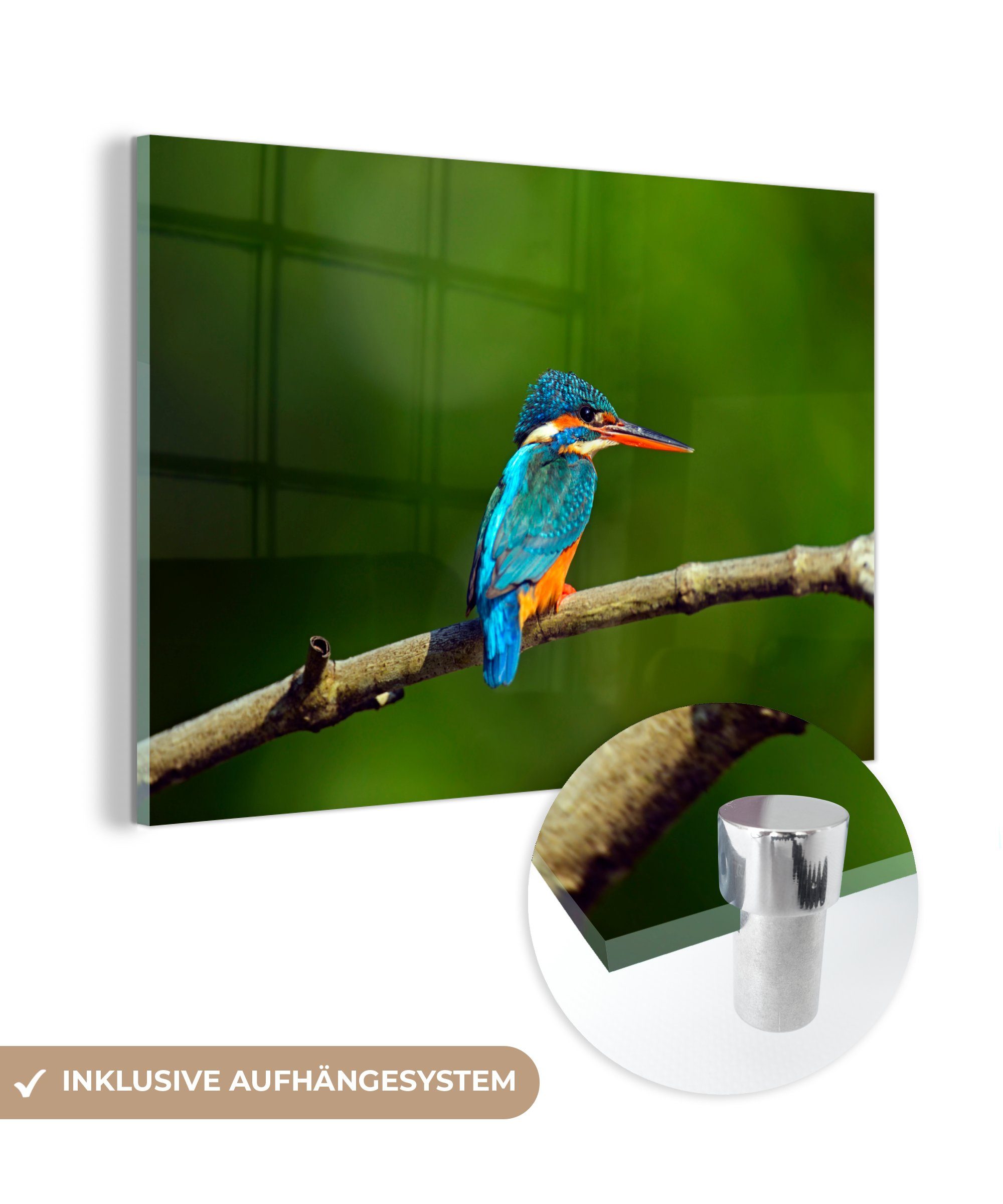 Lanka Wohnzimmer Wildtiere - Eisvogel, (1 - Acrylglasbilder & St), MuchoWow Schlafzimmer Acrylglasbild Sri