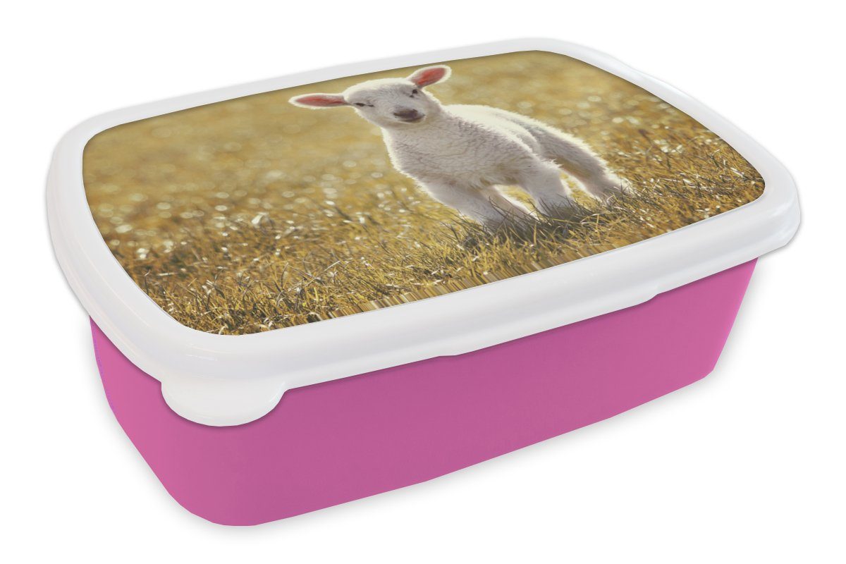 MuchoWow Lunchbox Schafe - Gras - Sonne, Kunststoff, (2-tlg), Brotbox für Erwachsene, Brotdose Kinder, Snackbox, Mädchen, Kunststoff rosa