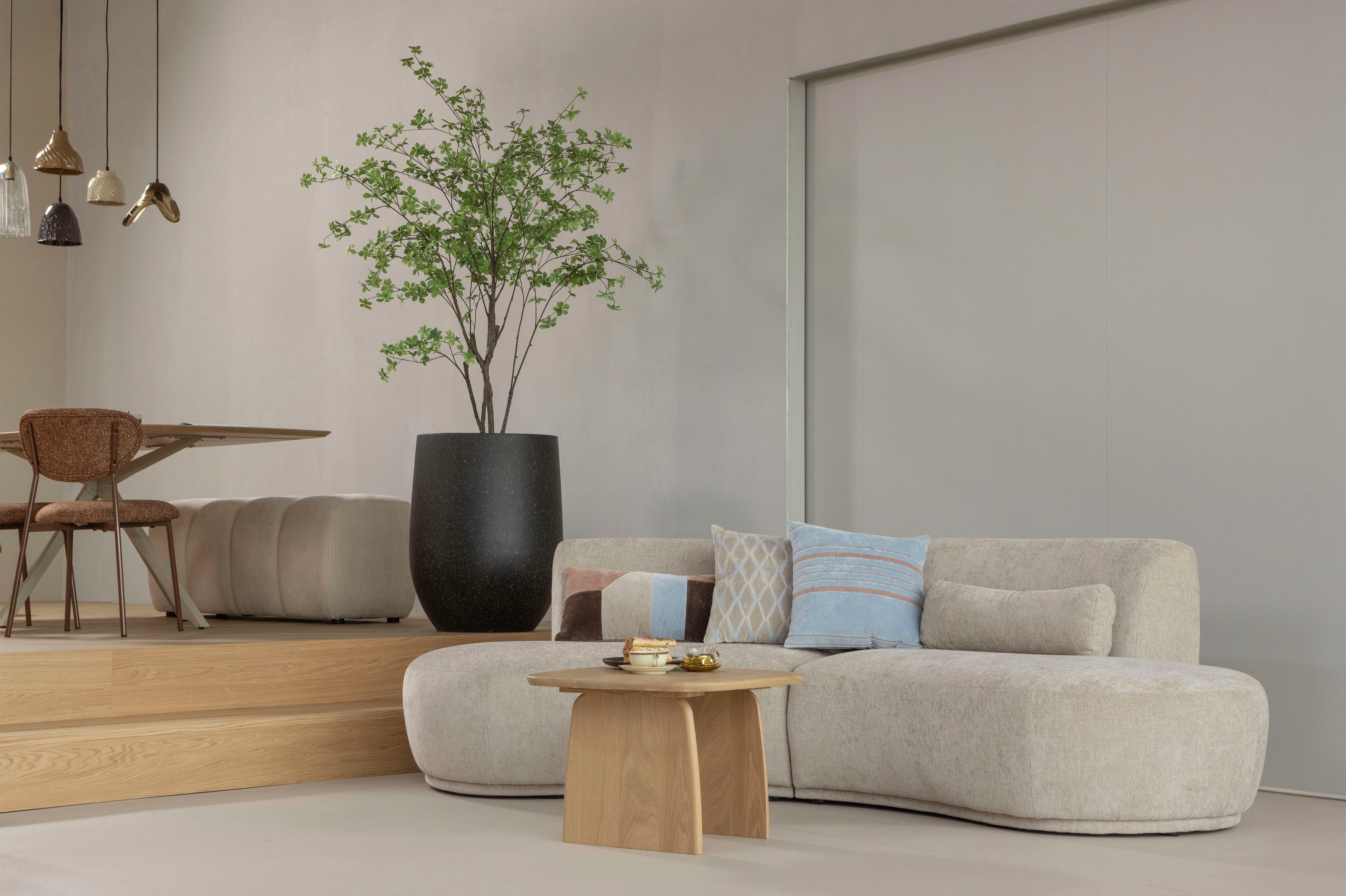 WOOOD Couchtisch Tablo mit FSC®-Mix Eichenholz und organischer Form B60 x T60 x H40 cm, Transparente Schutzlackierung, Tragkraft 50 kg, kompakte Ausführung