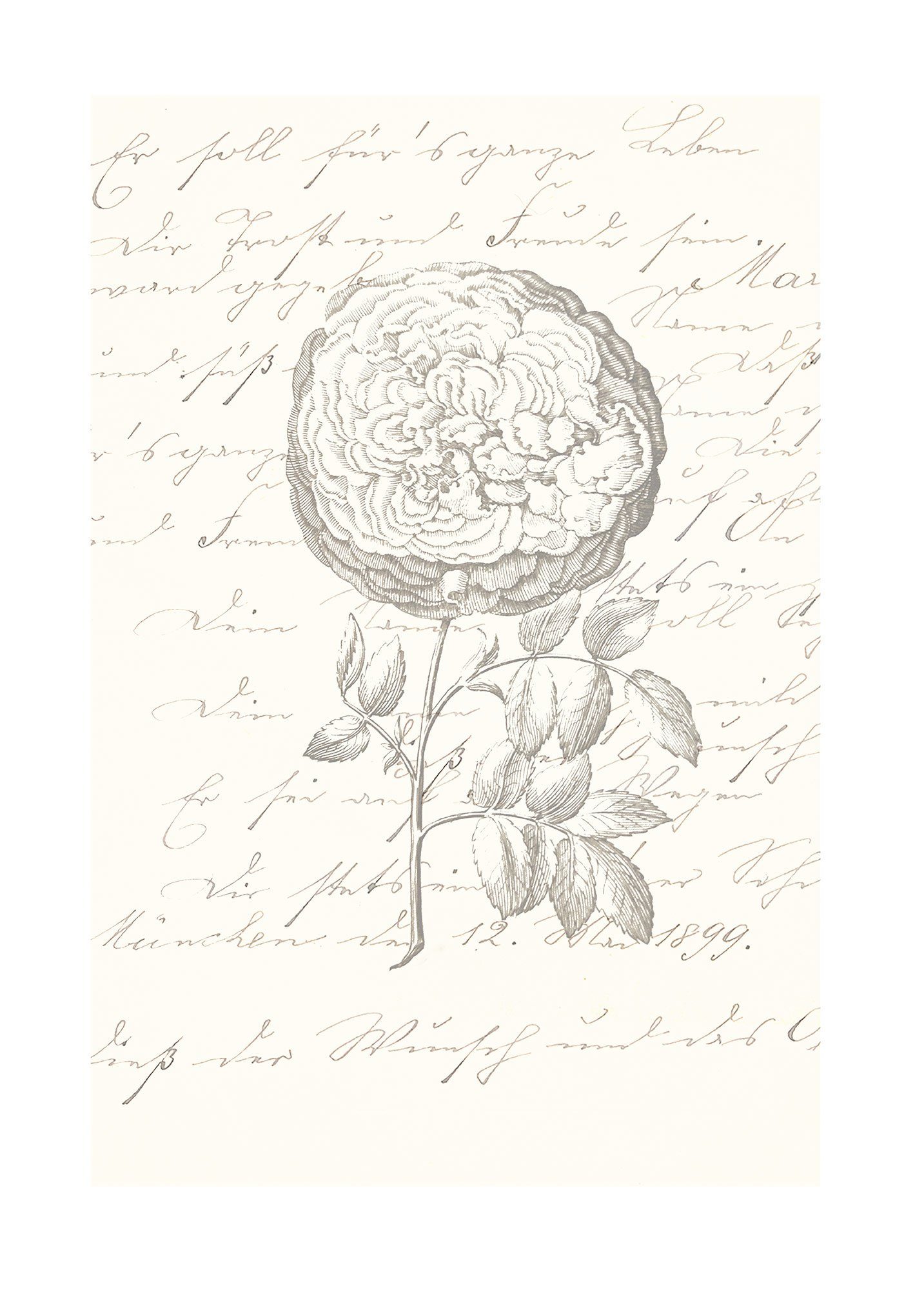 Komar Bild Ma Chérie, Natur (1 St), Wandbild zur Dekoration - ohne Rahmen