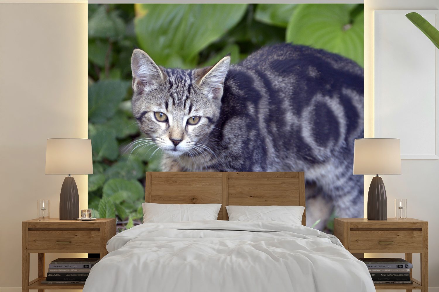 - Fototapete - Katze für - oder St), - (5 Wohnzimmer Schlafzimmer, - Garten Kind, Vinyl Tapete Wandtapete bedruckt, Haustier - MuchoWow Mädchen Matt, Kinder Kinder
