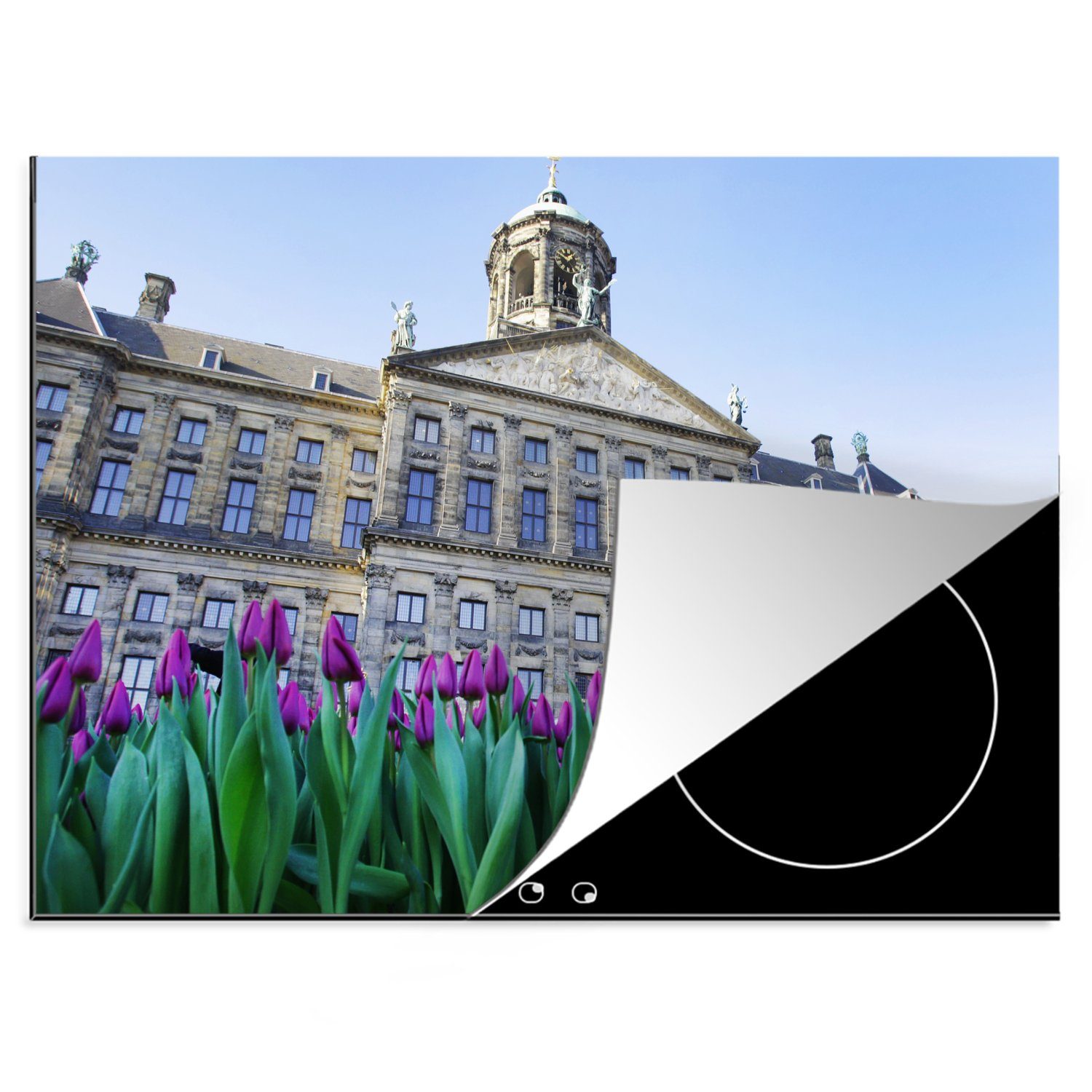 Amsterdam, MuchoWow Lila cm, Vinyl, (1 Palast Königlichen Arbeitsfläche Ceranfeldabdeckung nutzbar, in wachsen vor Mobile dem Tulpen Herdblende-/Abdeckplatte tlg), 70x52