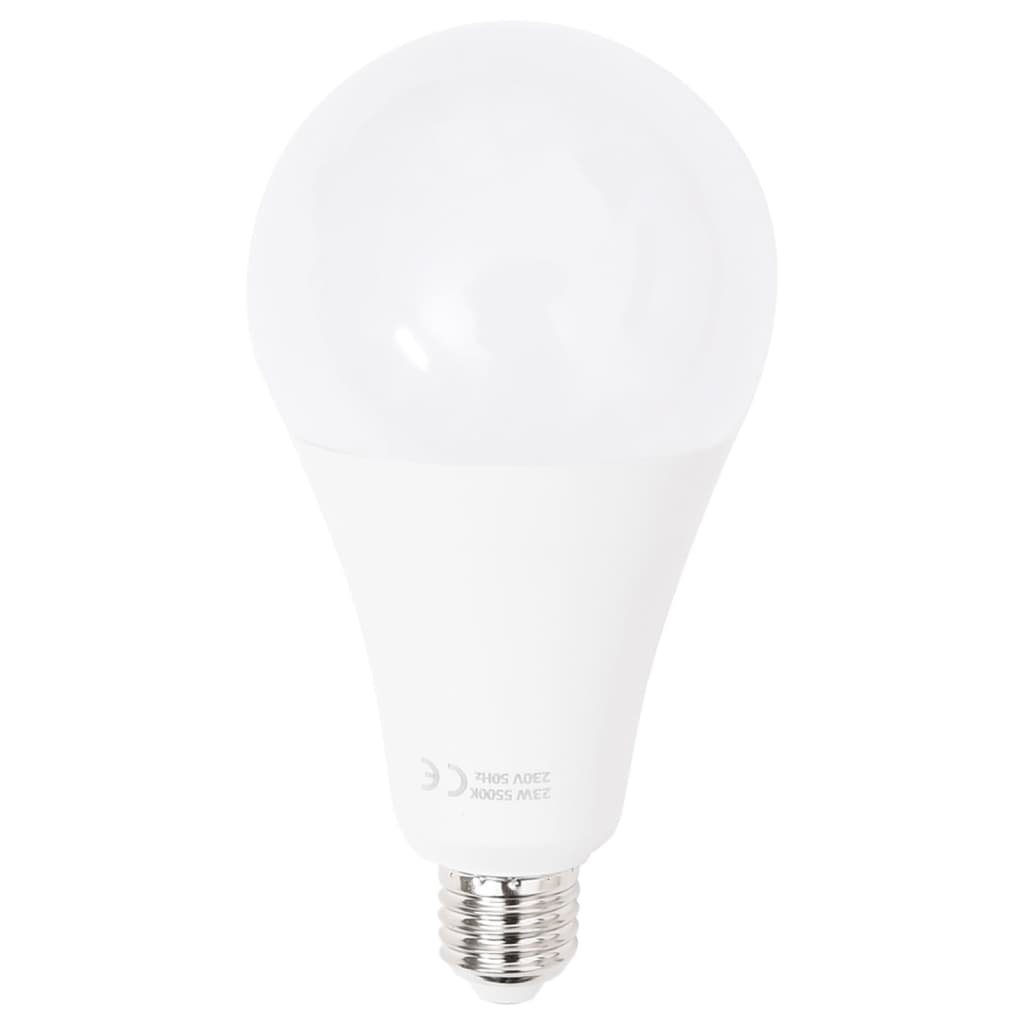 vidaXL Fotohintergrund Fotostudio-Beleuchtung Set mit Aufnahmetisch