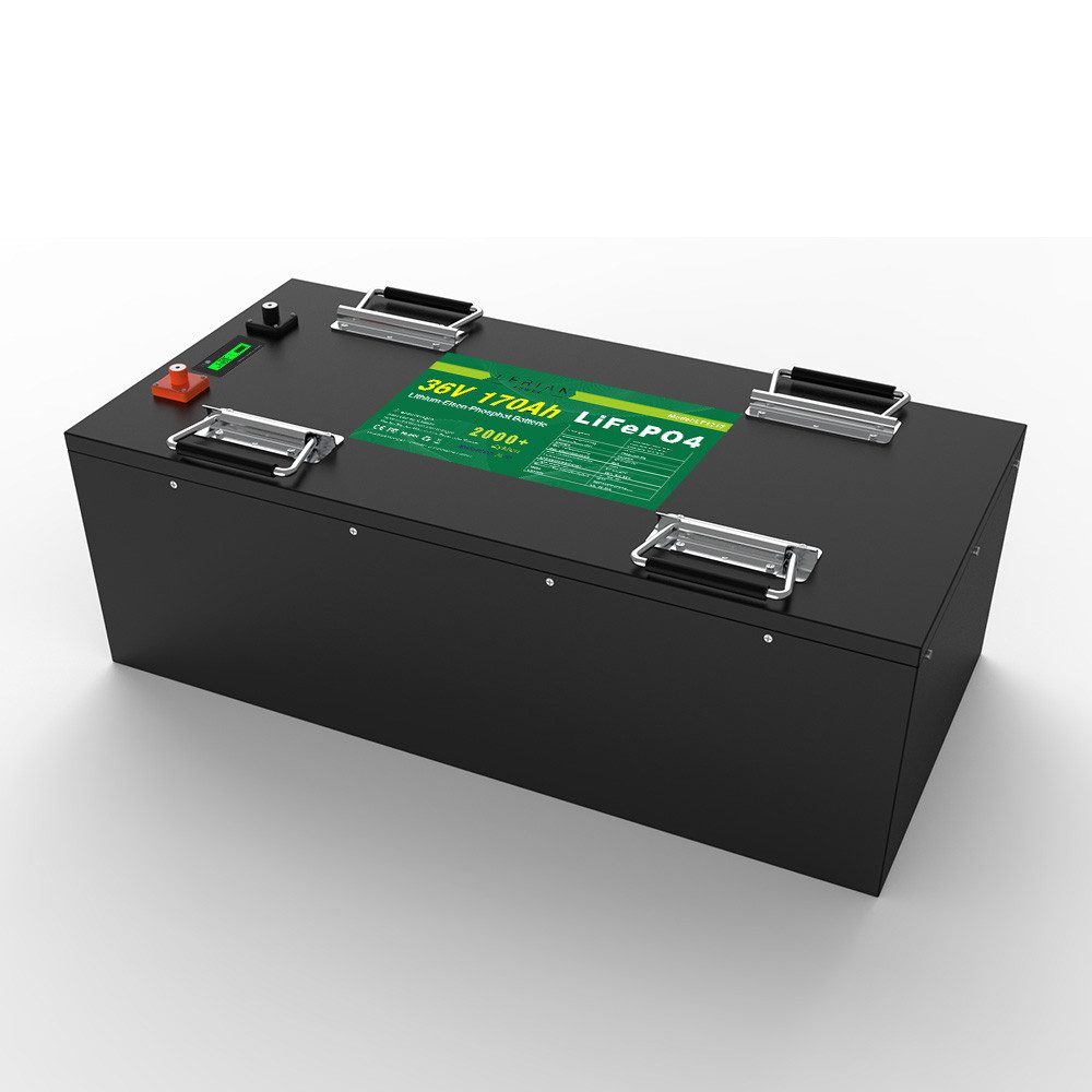 LERIAN POWER LiFePO4 Akku 36V 170Ah 150A 6120Wh Lithium-Eisenphosphat E-Scooter Akku