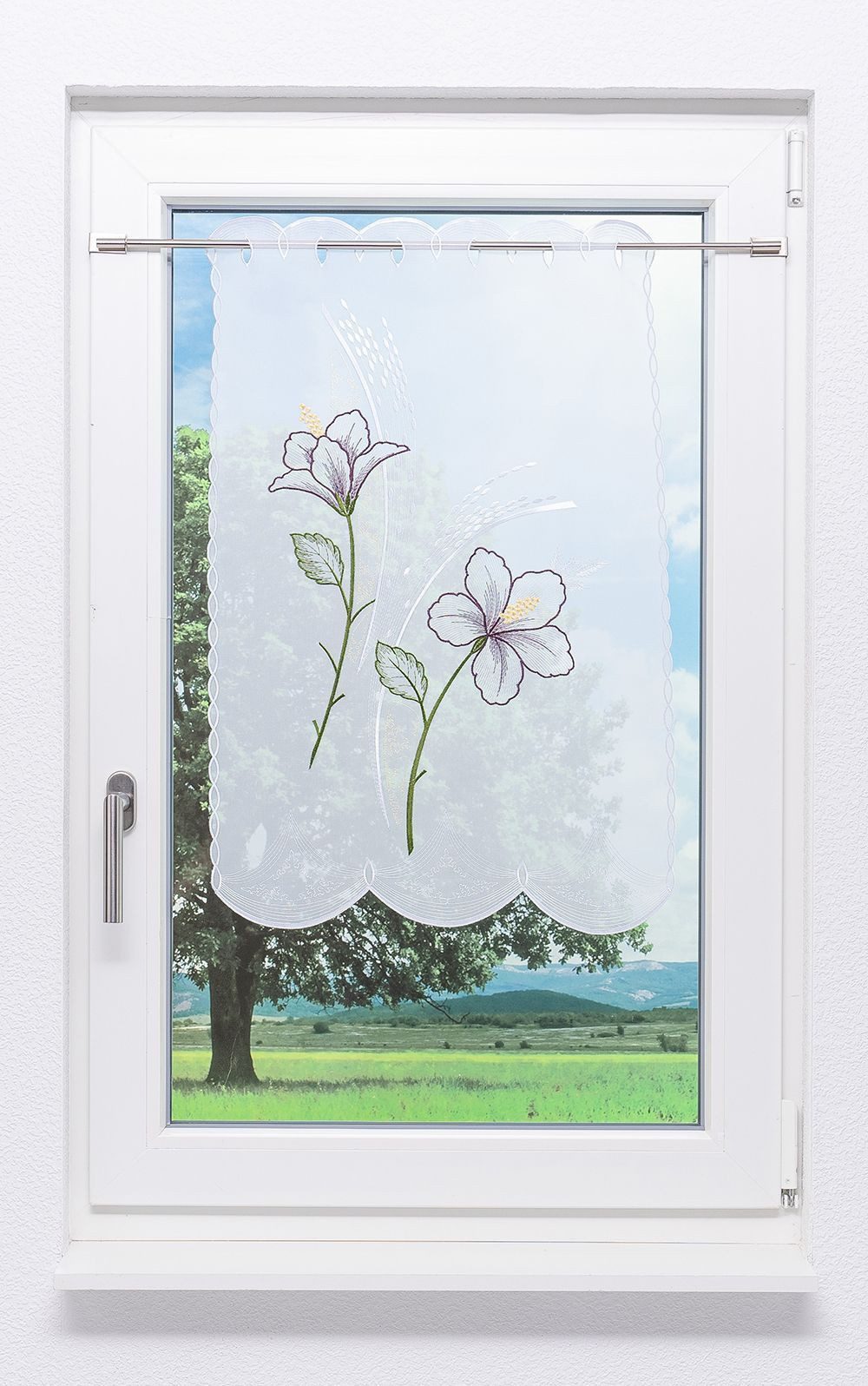 Plauener Spitze® Scheibengardine Blume (1 St), transparent, HxB 70x49cm