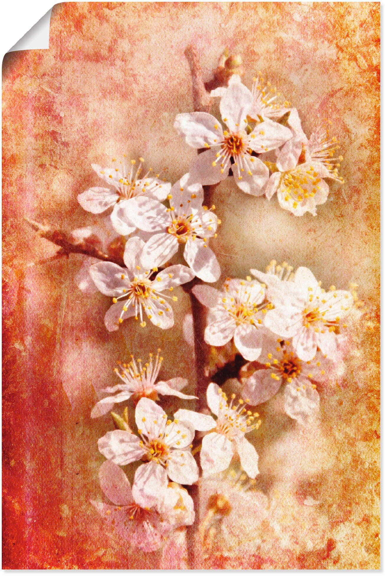 Wandaufkleber Wandbild Größen, in St), Poster Leinwandbild, zum (1 oder Alubild, Artland für Kirschblüten, einfache Montag als Blumen Fertig versch. Aufhängen