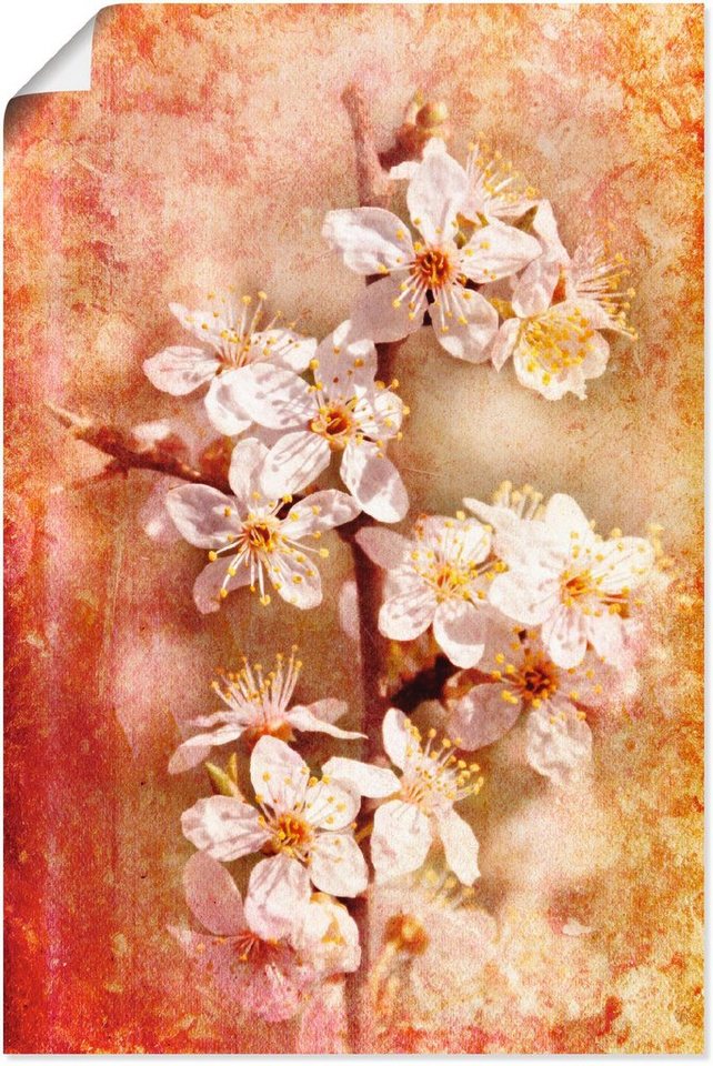 Artland Wandbild Kirschblüten, Blumen (1 St), als Alubild, Leinwandbild,  Wandaufkleber oder Poster in versch. Größen, Fertig zum Aufhängen für  einfache Montag