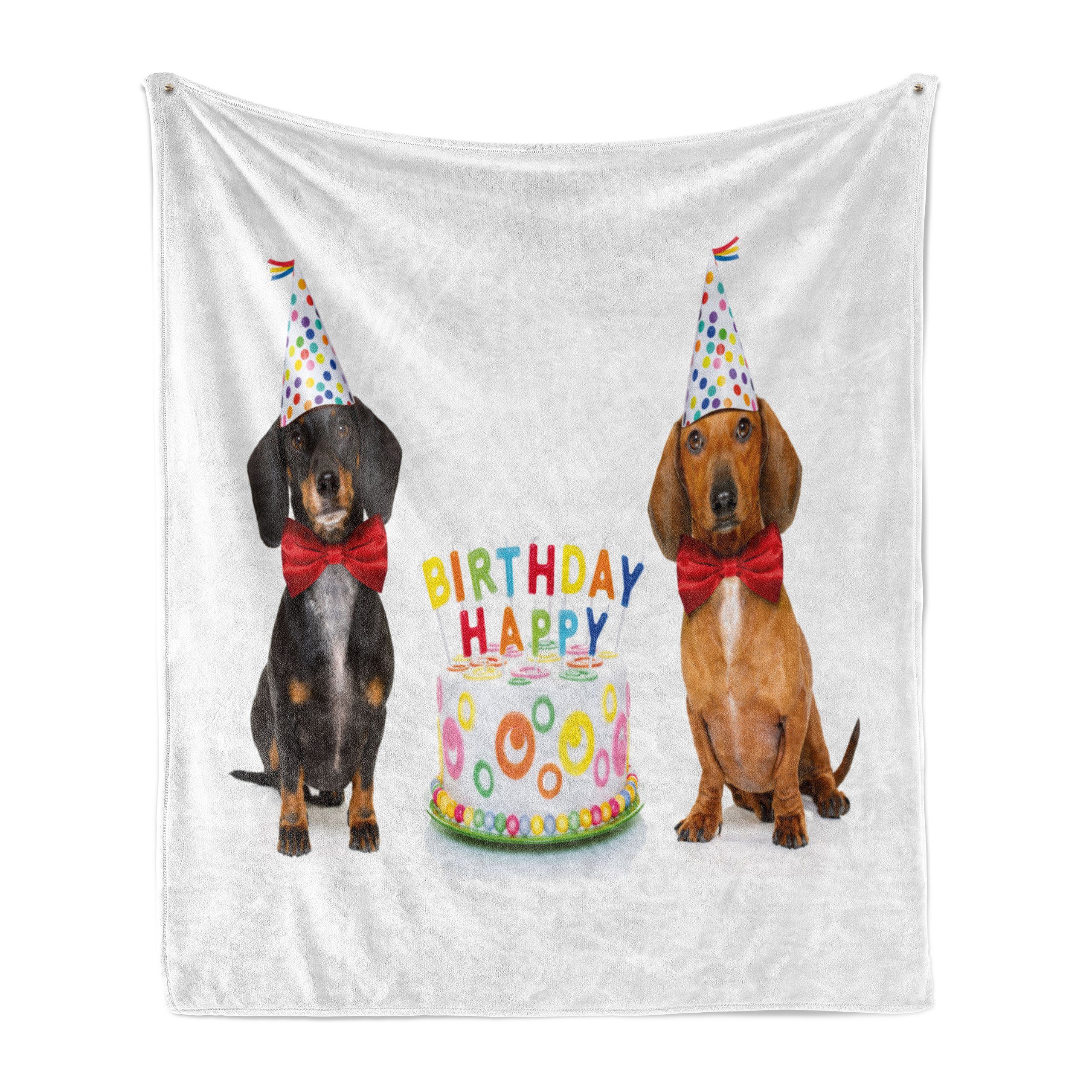 Wohndecke Gemütlicher Plüsch für den Innen- und Außenbereich, Abakuhaus, Dackel Hunde Happy Birthday Cake