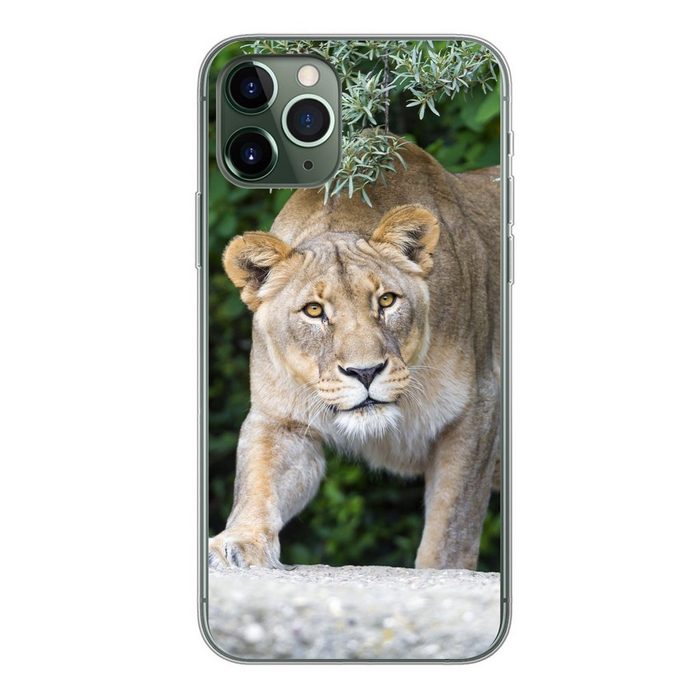 MuchoWow Handyhülle Löwinnen - Wilde Tiere - Jagd Handyhülle Apple iPhone 11 Pro Smartphone-Bumper Print Handy