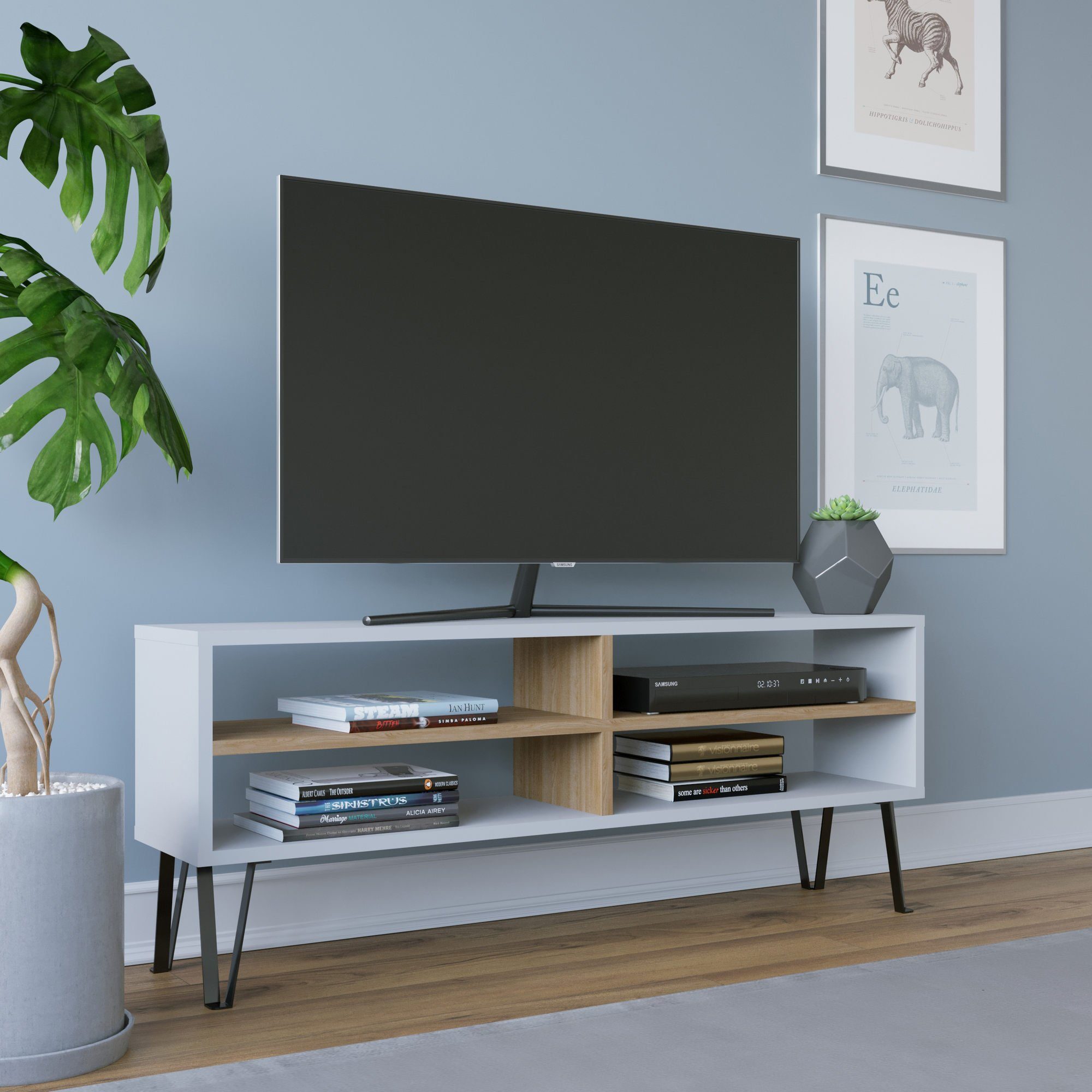 Skye Decor TV-Schrank Schränke, 46,6x120x25 cm, 100% Melaminbeschichtete Partikelplatte